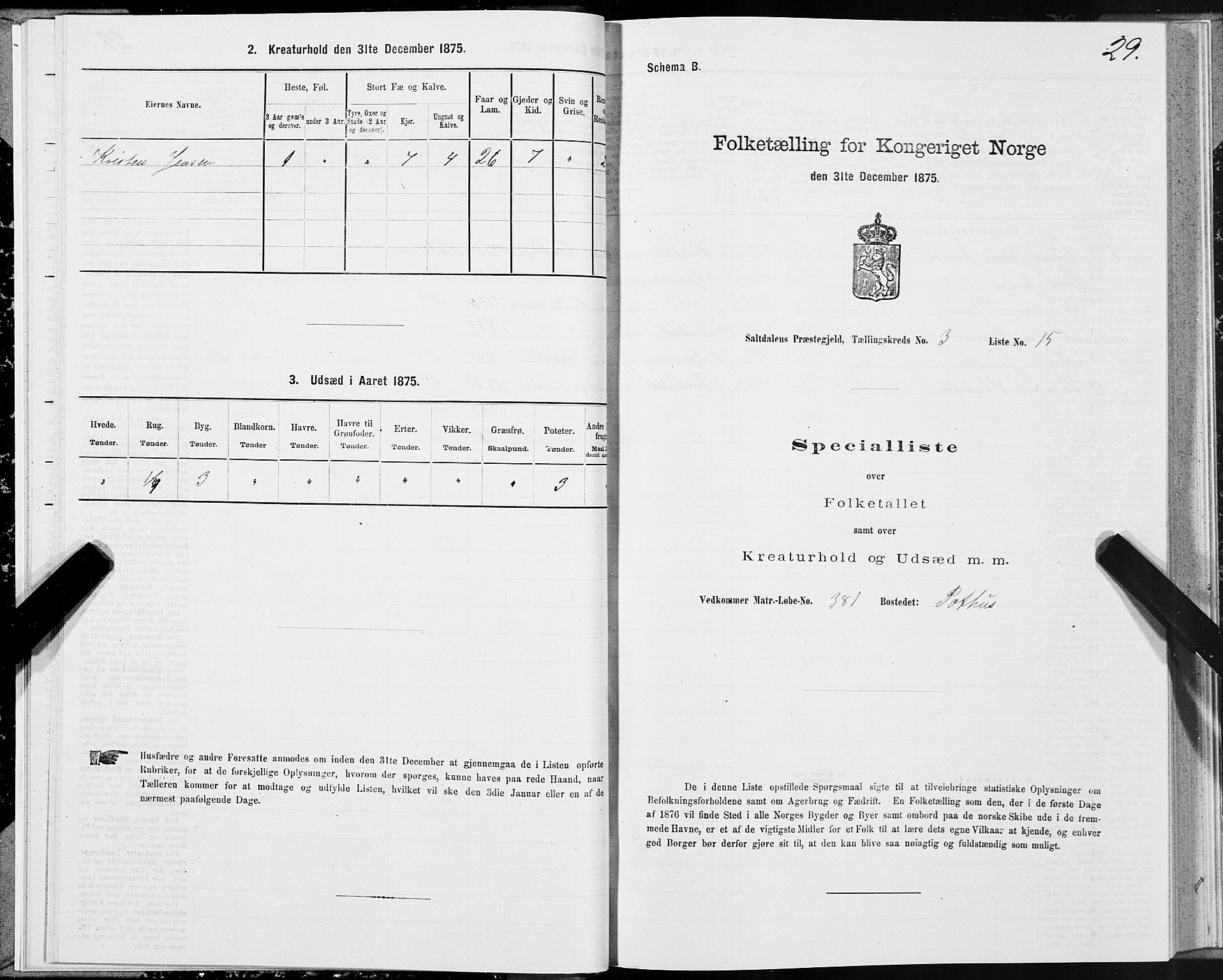 SAT, Folketelling 1875 for 1840P Saltdal prestegjeld, 1875, s. 2029