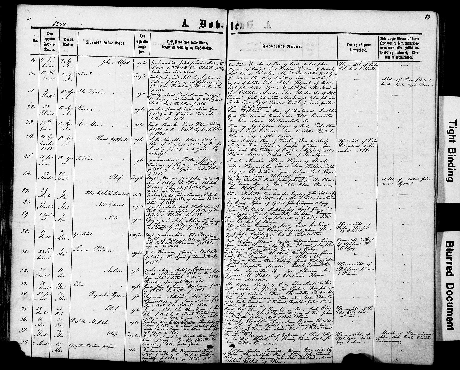 Ministerialprotokoller, klokkerbøker og fødselsregistre - Nord-Trøndelag, AV/SAT-A-1458/706/L0049: Klokkerbok nr. 706C01, 1864-1895, s. 83