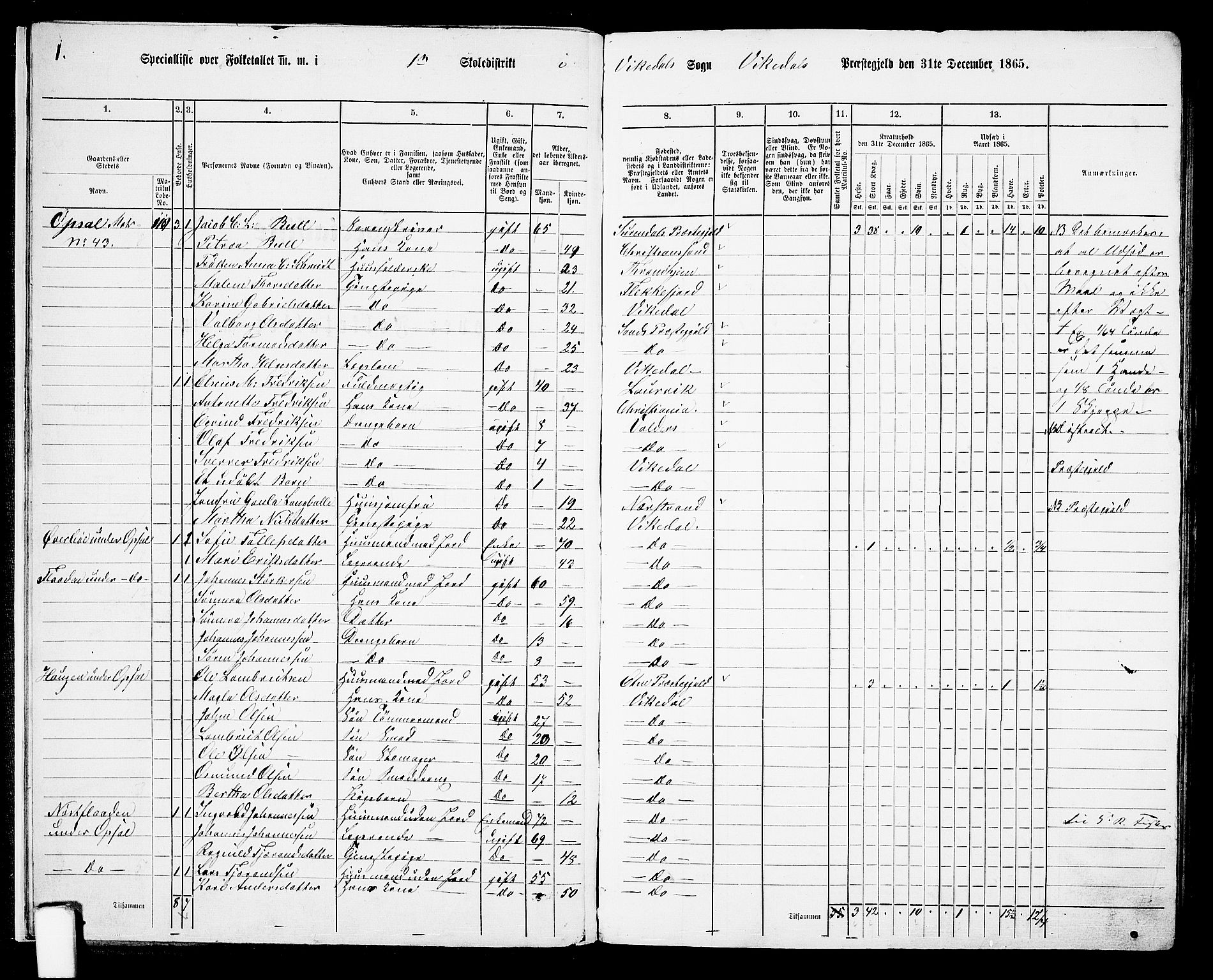 RA, Folketelling 1865 for 1157P Vikedal prestegjeld, 1865, s. 13