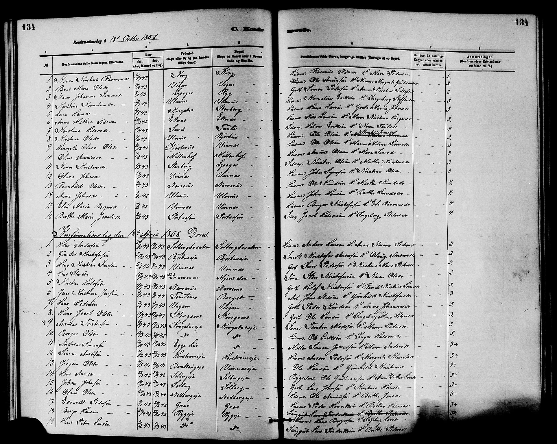 Nedre Eiker kirkebøker, AV/SAKO-A-612/F/Fa/L0001: Ministerialbok nr. 1, 1853-1877, s. 134