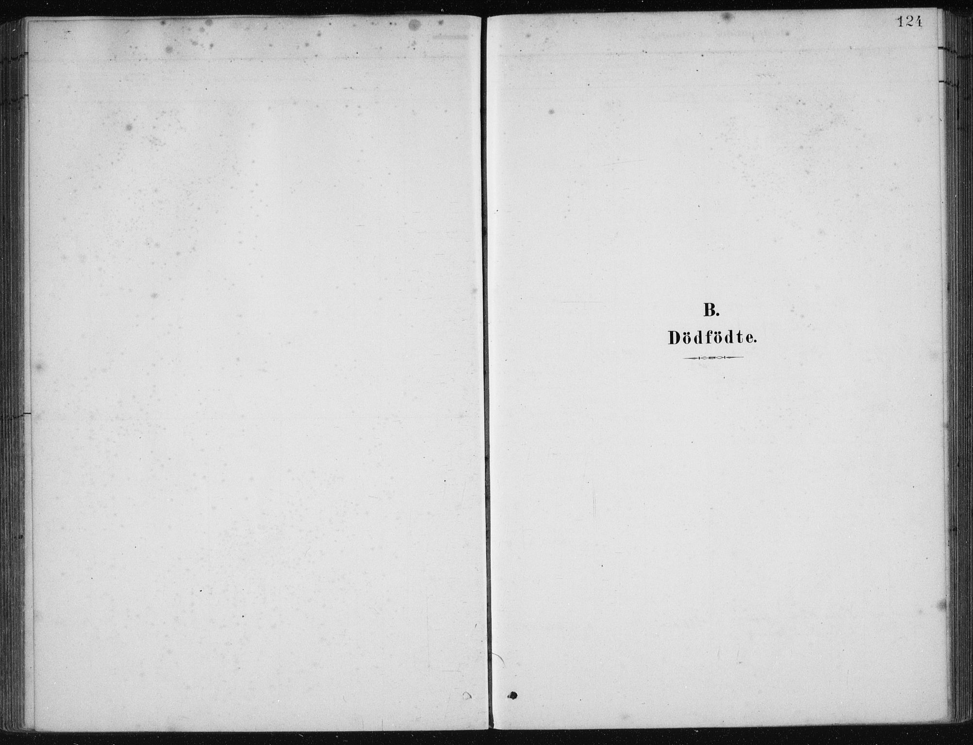 Etne sokneprestembete, AV/SAB-A-75001/H/Haa: Ministerialbok nr. C  1, 1879-1919, s. 124