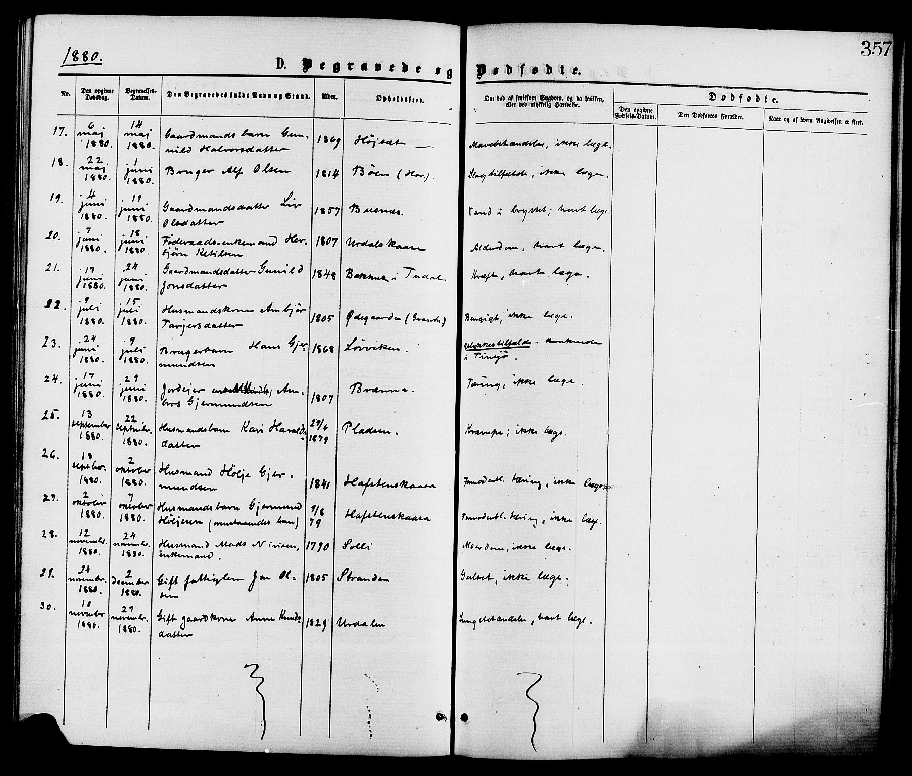 Gransherad kirkebøker, AV/SAKO-A-267/F/Fa/L0004: Ministerialbok nr. I 4, 1871-1886, s. 357