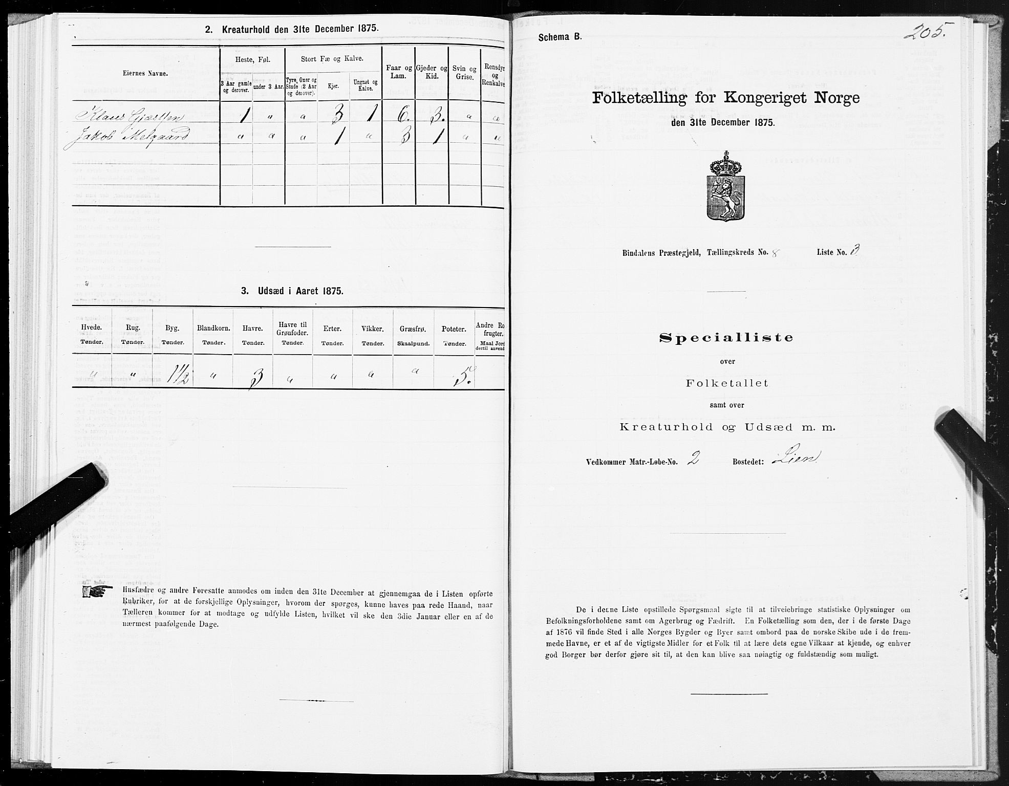 SAT, Folketelling 1875 for 1811P Bindal prestegjeld, 1875, s. 2205