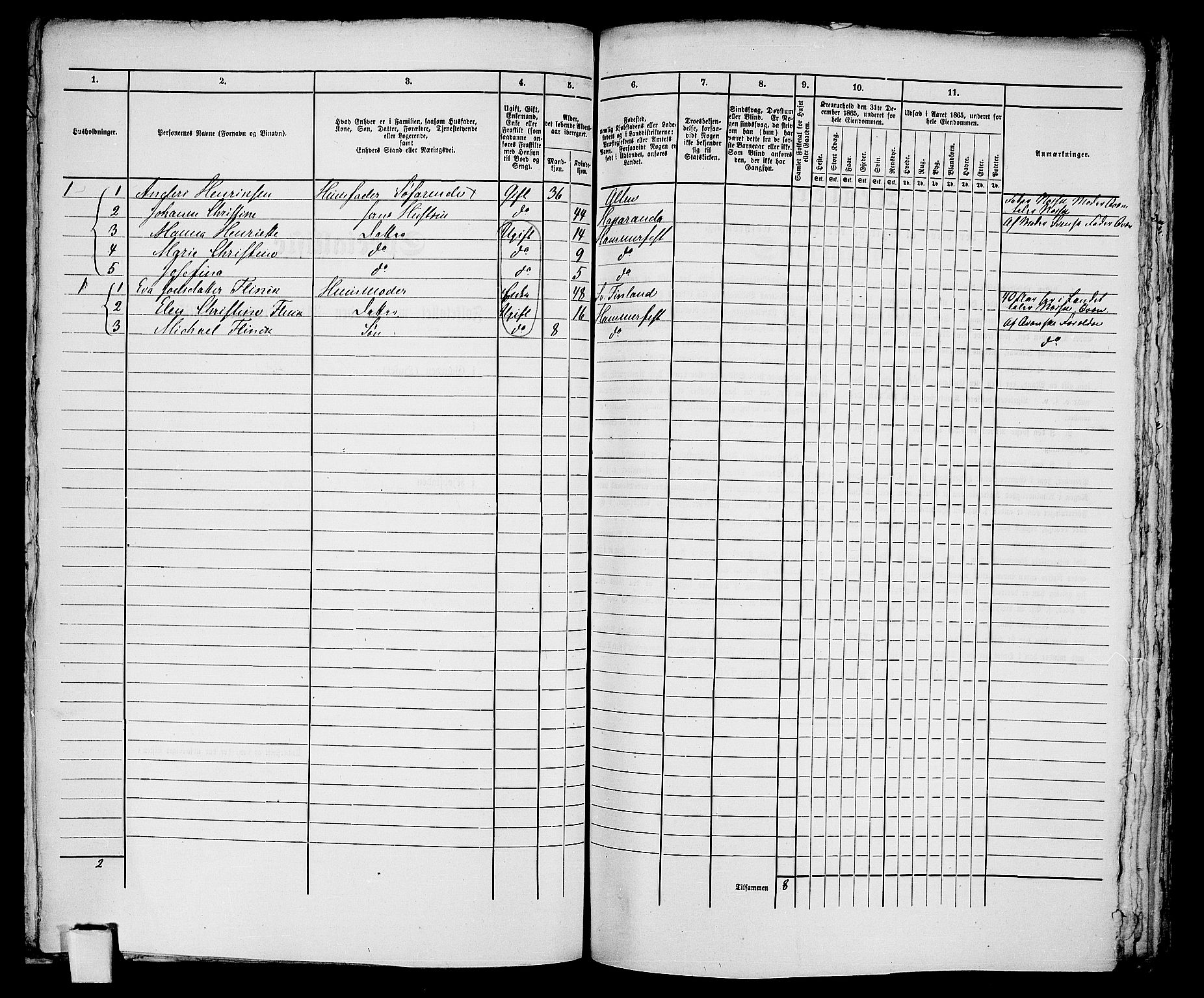 RA, Folketelling 1865 for 2001B Hammerfest prestegjeld, Hammerfest kjøpstad, 1865, s. 224