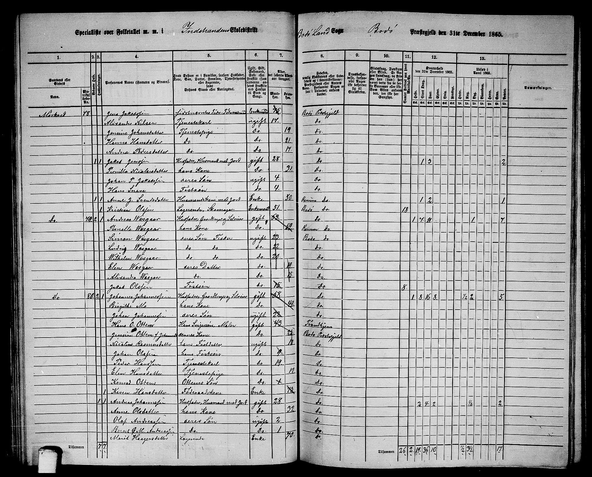 RA, Folketelling 1865 for 1843L Bodø prestegjeld, Bodø landsokn, 1865, s. 55