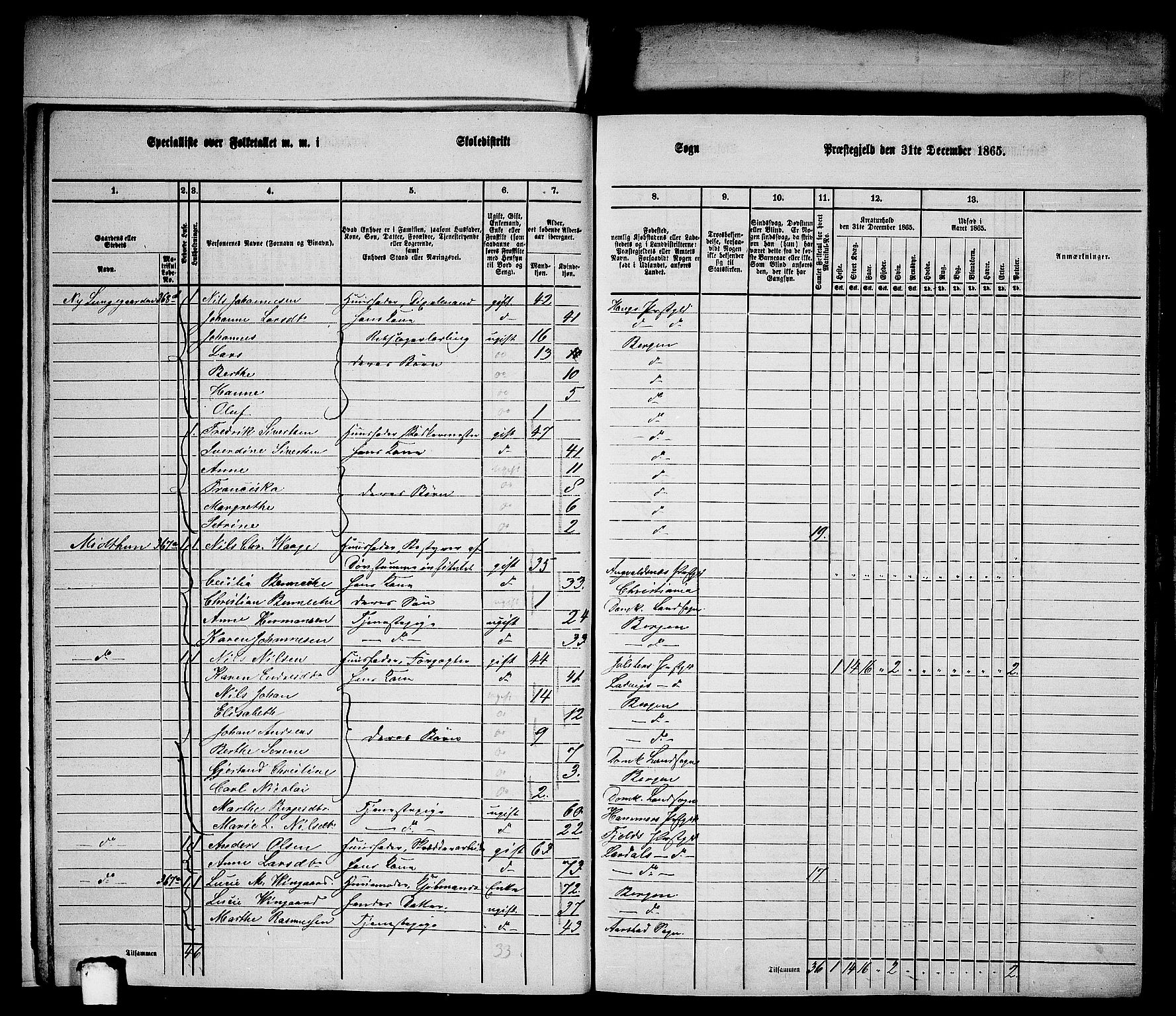 RA, Folketelling 1865 for 1281L Bergen Landdistrikt, Domkirkens landsokn og Korskirkens landsokn, 1865, s. 12