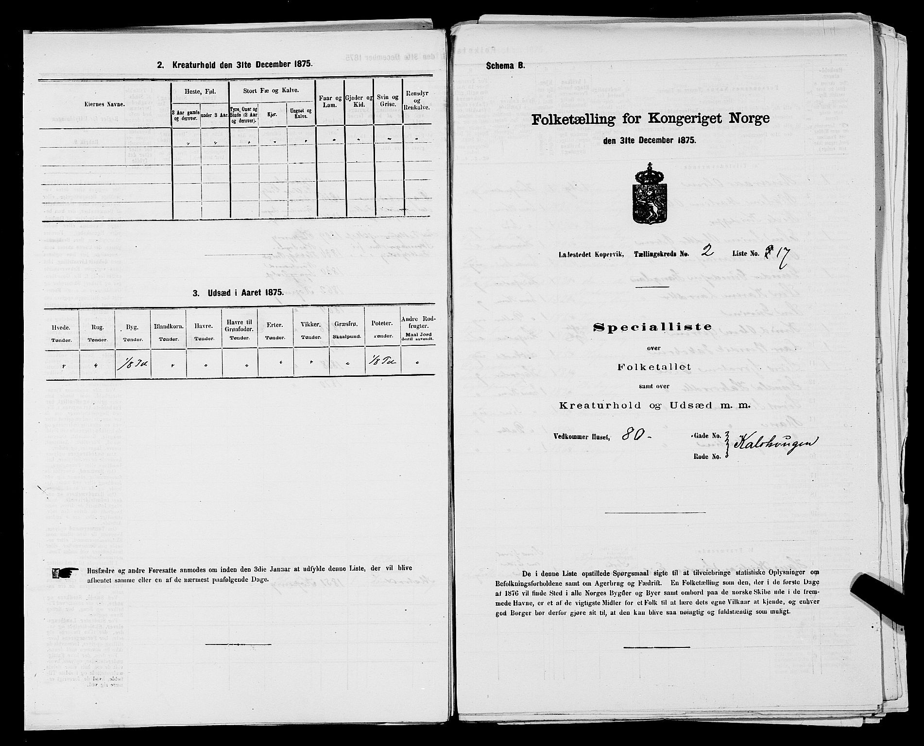 SAST, Folketelling 1875 for 1105B Avaldsnes prestegjeld, Kopervik ladested, 1875, s. 36