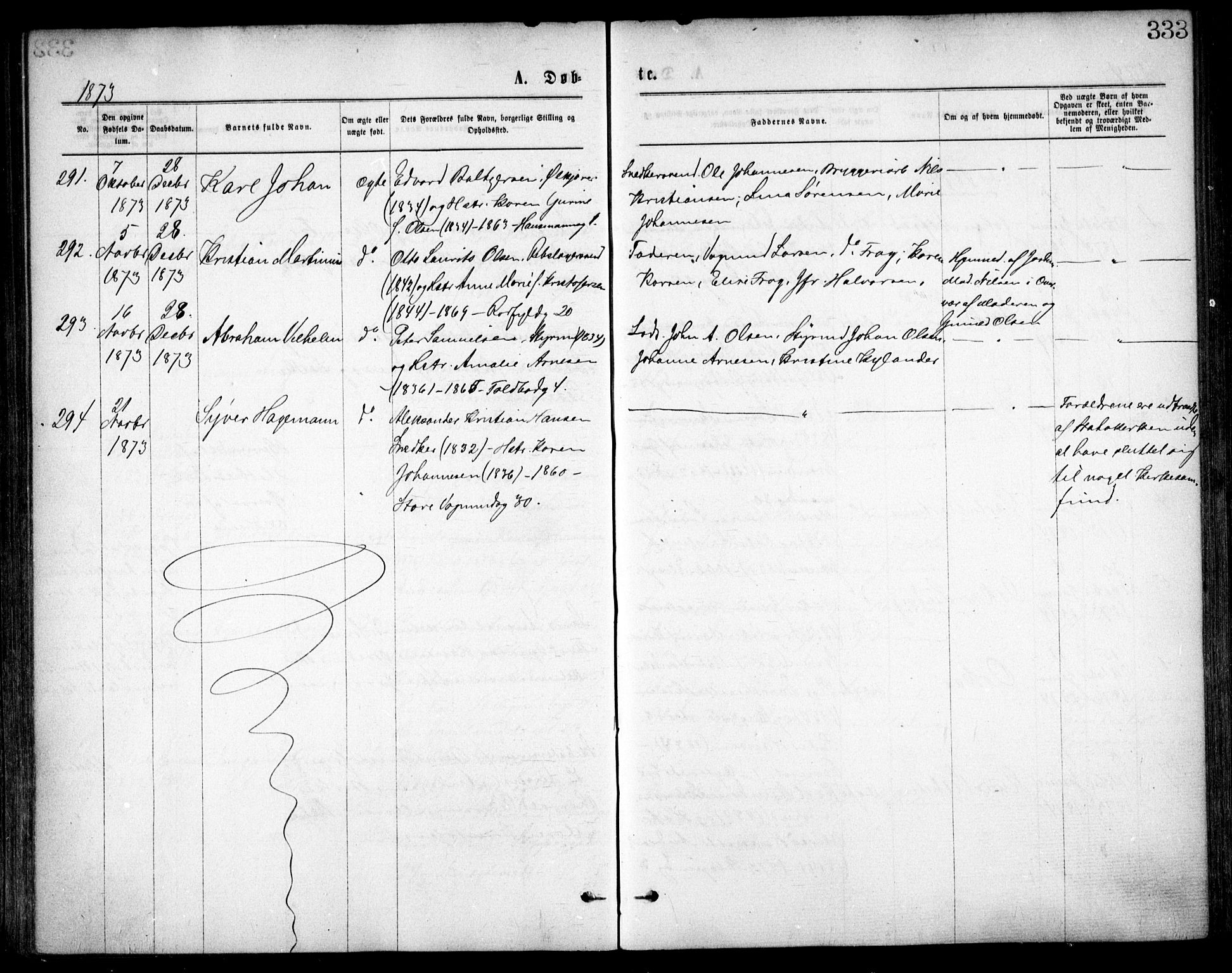 Oslo domkirke Kirkebøker, SAO/A-10752/F/Fa/L0017: Ministerialbok nr. 17, 1869-1878, s. 333