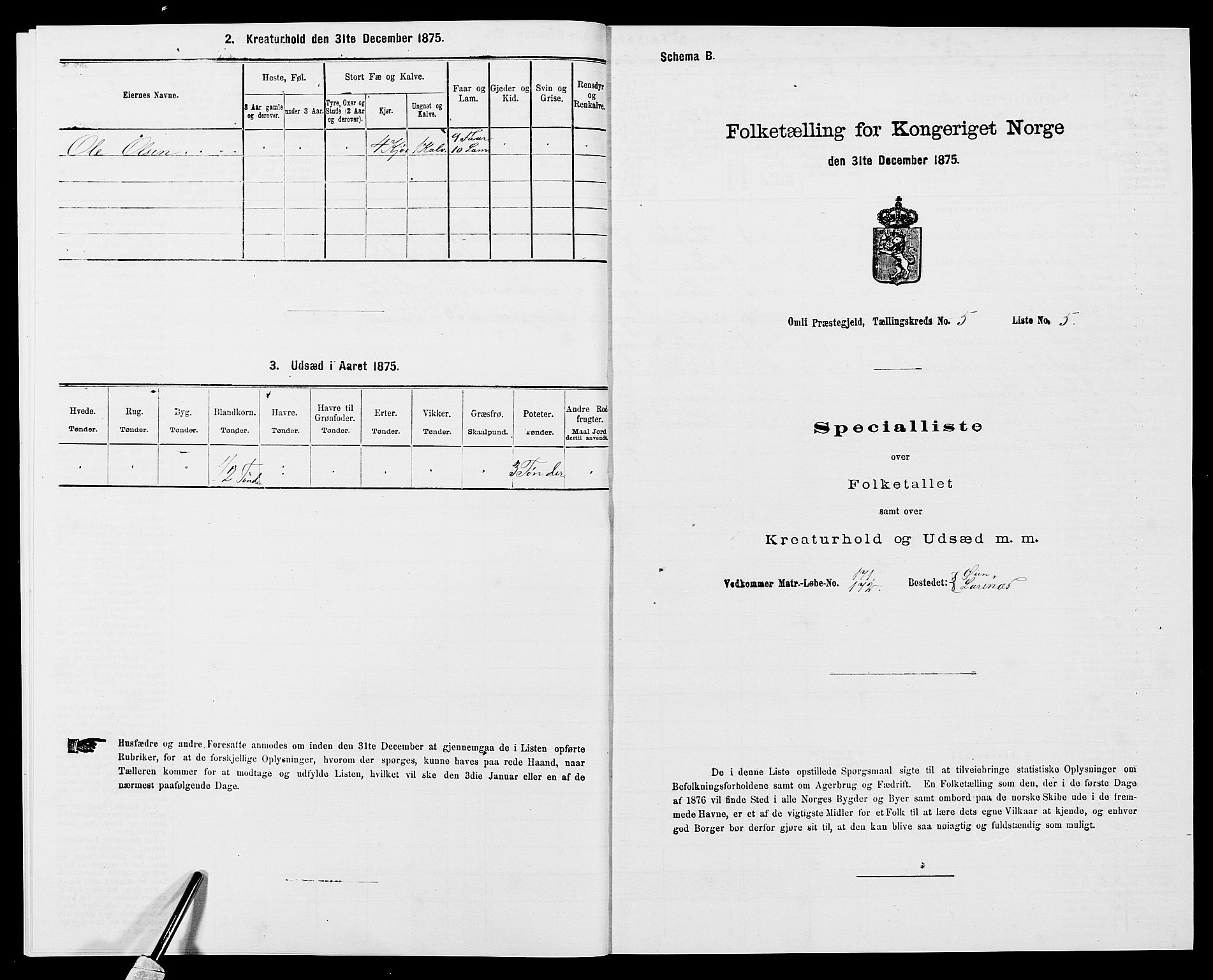 SAK, Folketelling 1875 for 0929P Åmli prestegjeld, 1875, s. 404