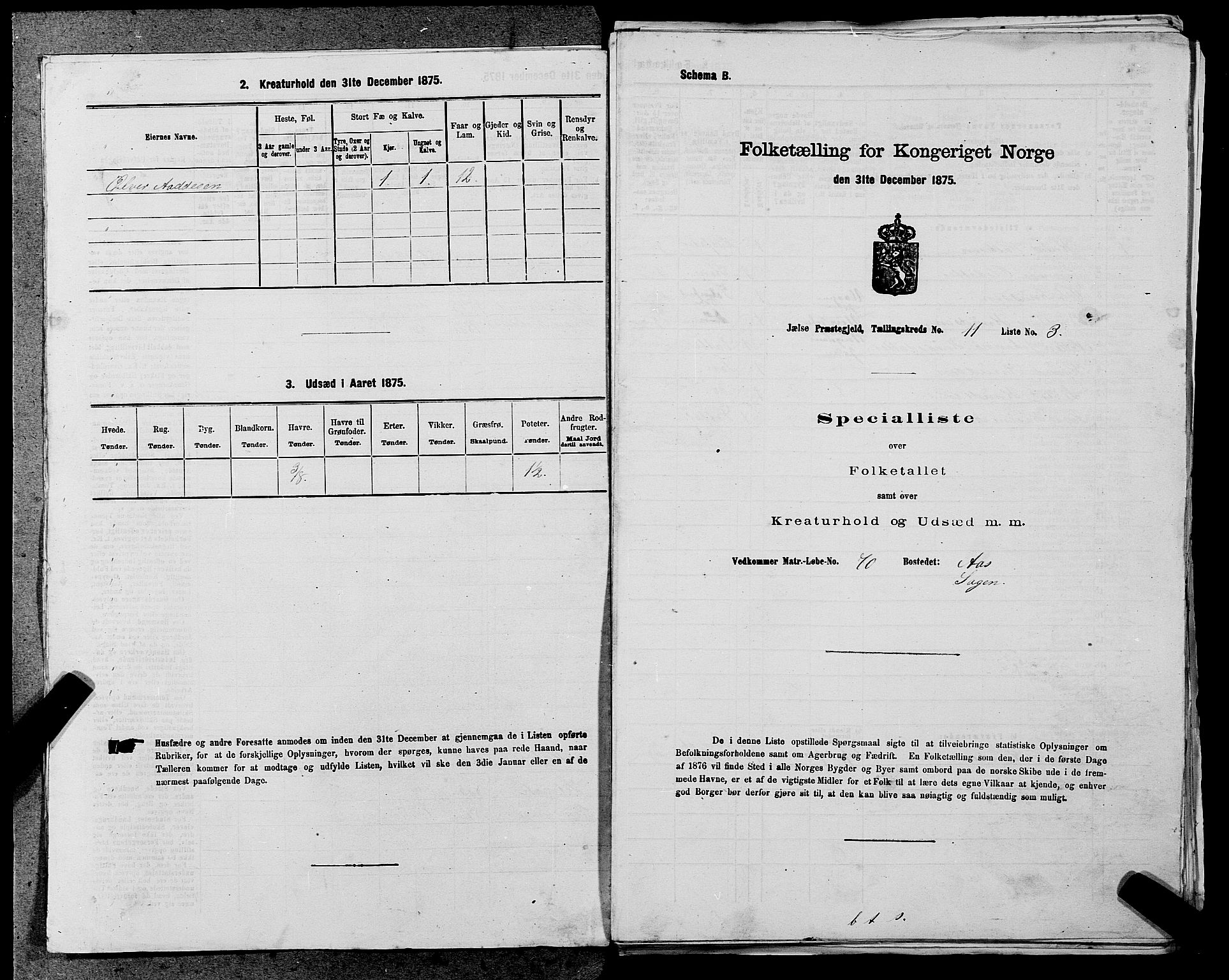 SAST, Folketelling 1875 for 1138P Jelsa prestegjeld, 1875, s. 978