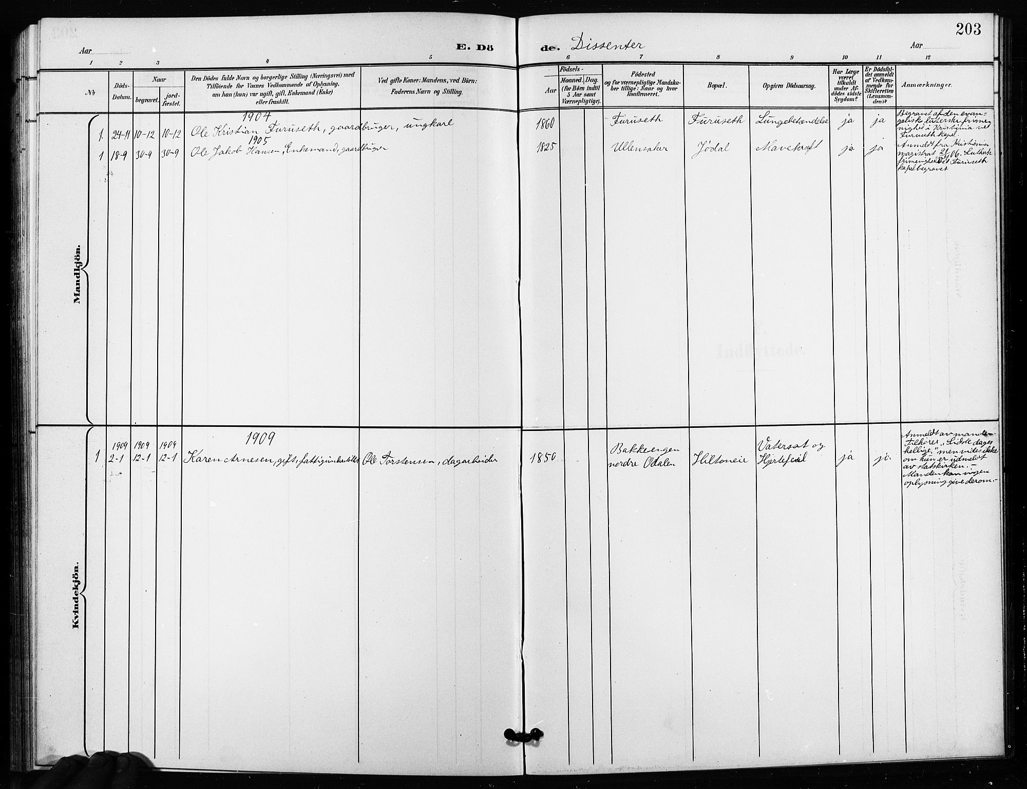 Ullensaker prestekontor Kirkebøker, AV/SAO-A-10236a/G/Ga/L0002: Klokkerbok nr. I 2, 1901-1913, s. 203