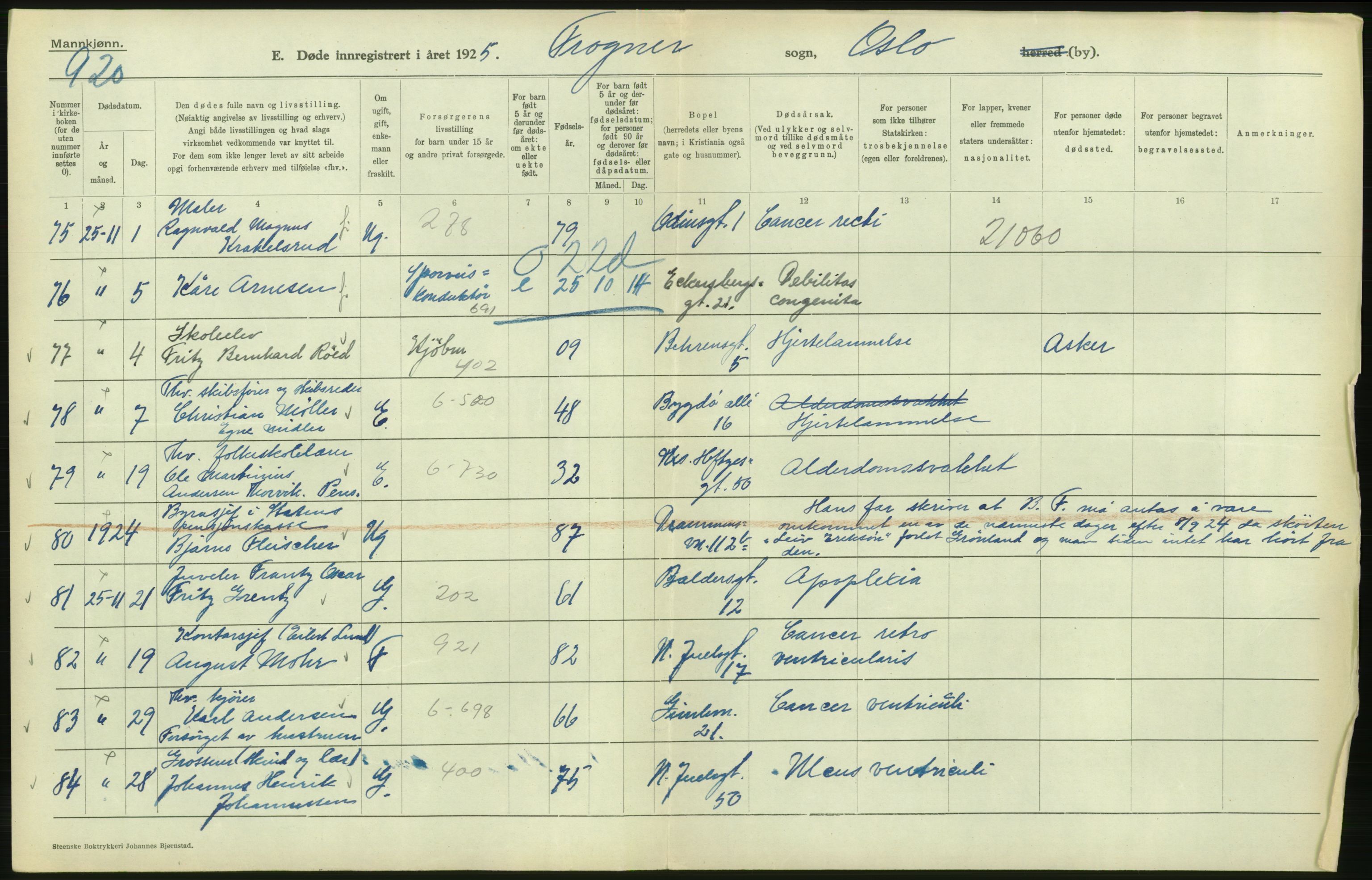 Statistisk sentralbyrå, Sosiodemografiske emner, Befolkning, AV/RA-S-2228/D/Df/Dfc/Dfce/L0009: Oslo: Døde menn, 1925, s. 250