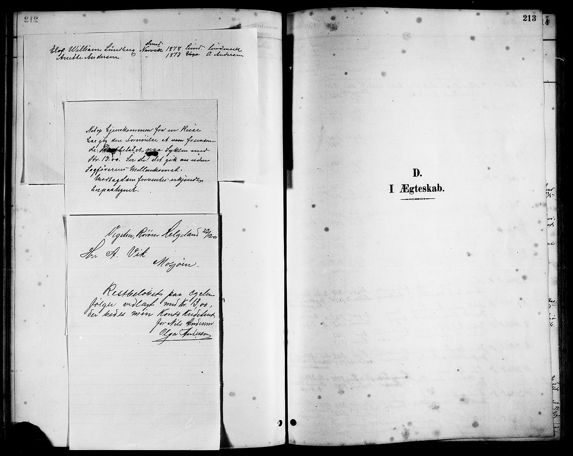 Ministerialprotokoller, klokkerbøker og fødselsregistre - Nordland, SAT/A-1459/816/L0253: Klokkerbok nr. 816C03, 1886-1905, s. 213