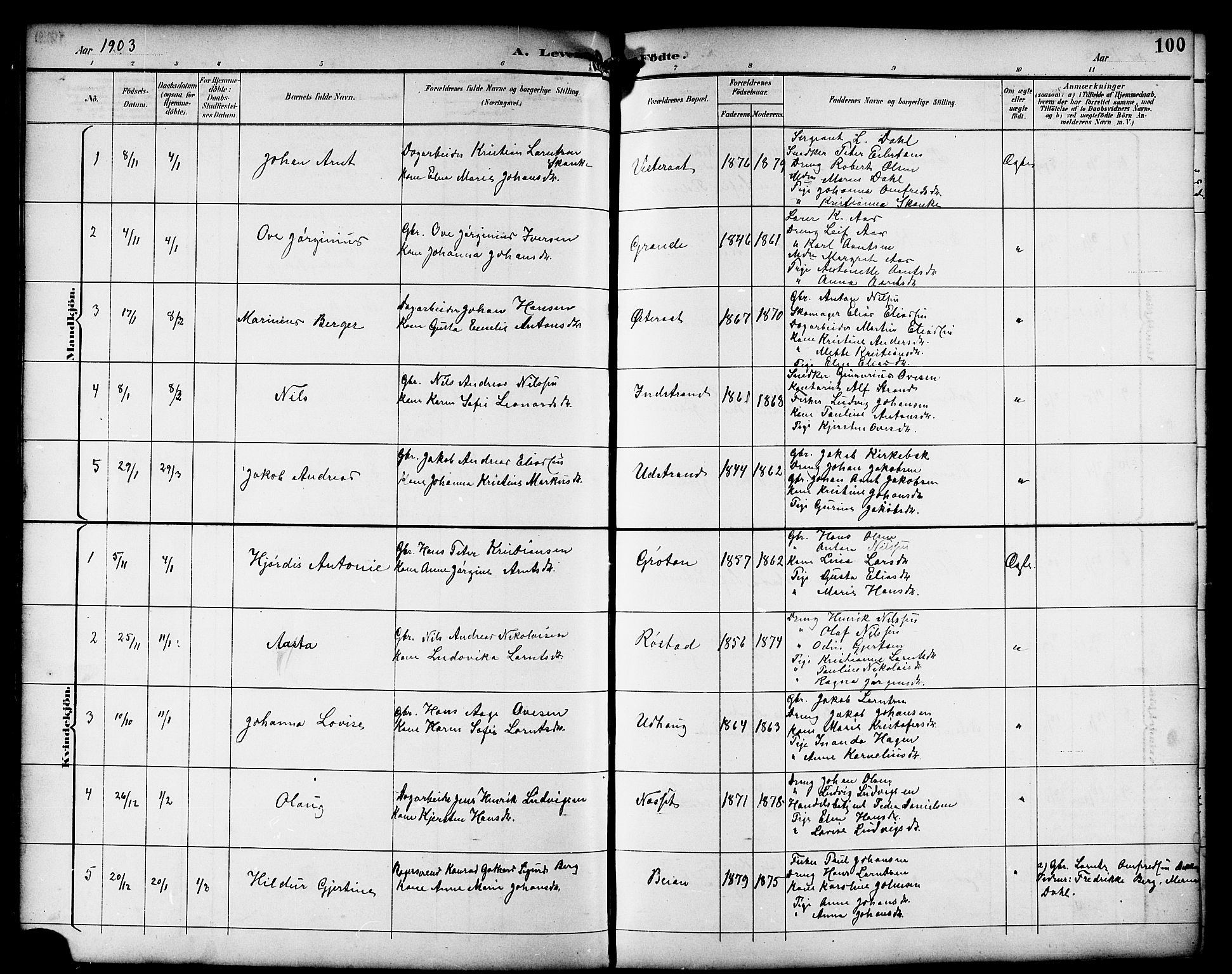 Ministerialprotokoller, klokkerbøker og fødselsregistre - Sør-Trøndelag, AV/SAT-A-1456/659/L0746: Klokkerbok nr. 659C03, 1893-1912, s. 100