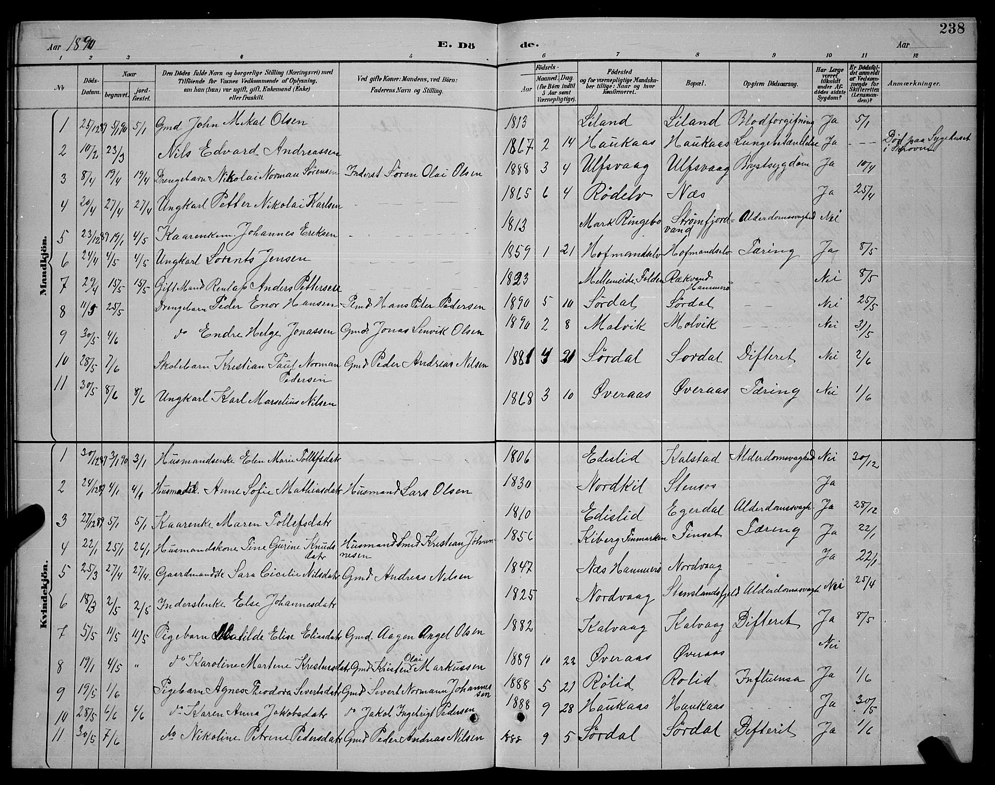 Ministerialprotokoller, klokkerbøker og fødselsregistre - Nordland, AV/SAT-A-1459/859/L0859: Klokkerbok nr. 859C05, 1887-1898, s. 238