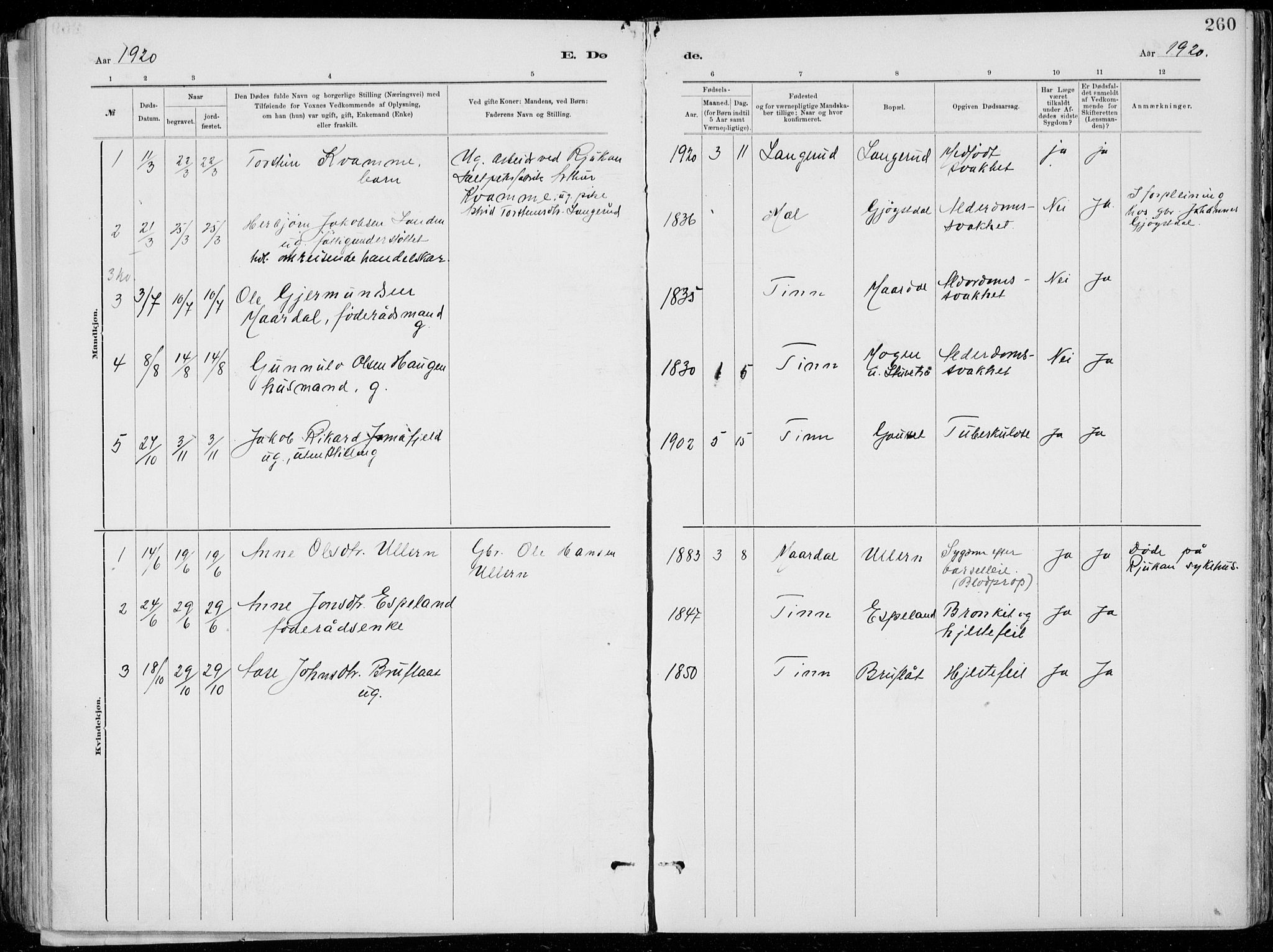 Tinn kirkebøker, AV/SAKO-A-308/F/Fa/L0007: Ministerialbok nr. I 7, 1878-1922, s. 260