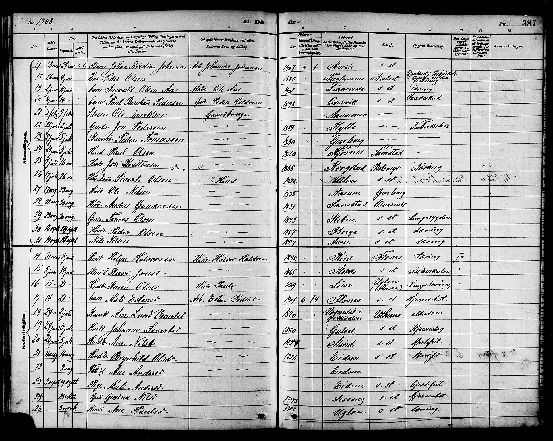 Ministerialprotokoller, klokkerbøker og fødselsregistre - Sør-Trøndelag, AV/SAT-A-1456/695/L1157: Klokkerbok nr. 695C08, 1889-1913, s. 387