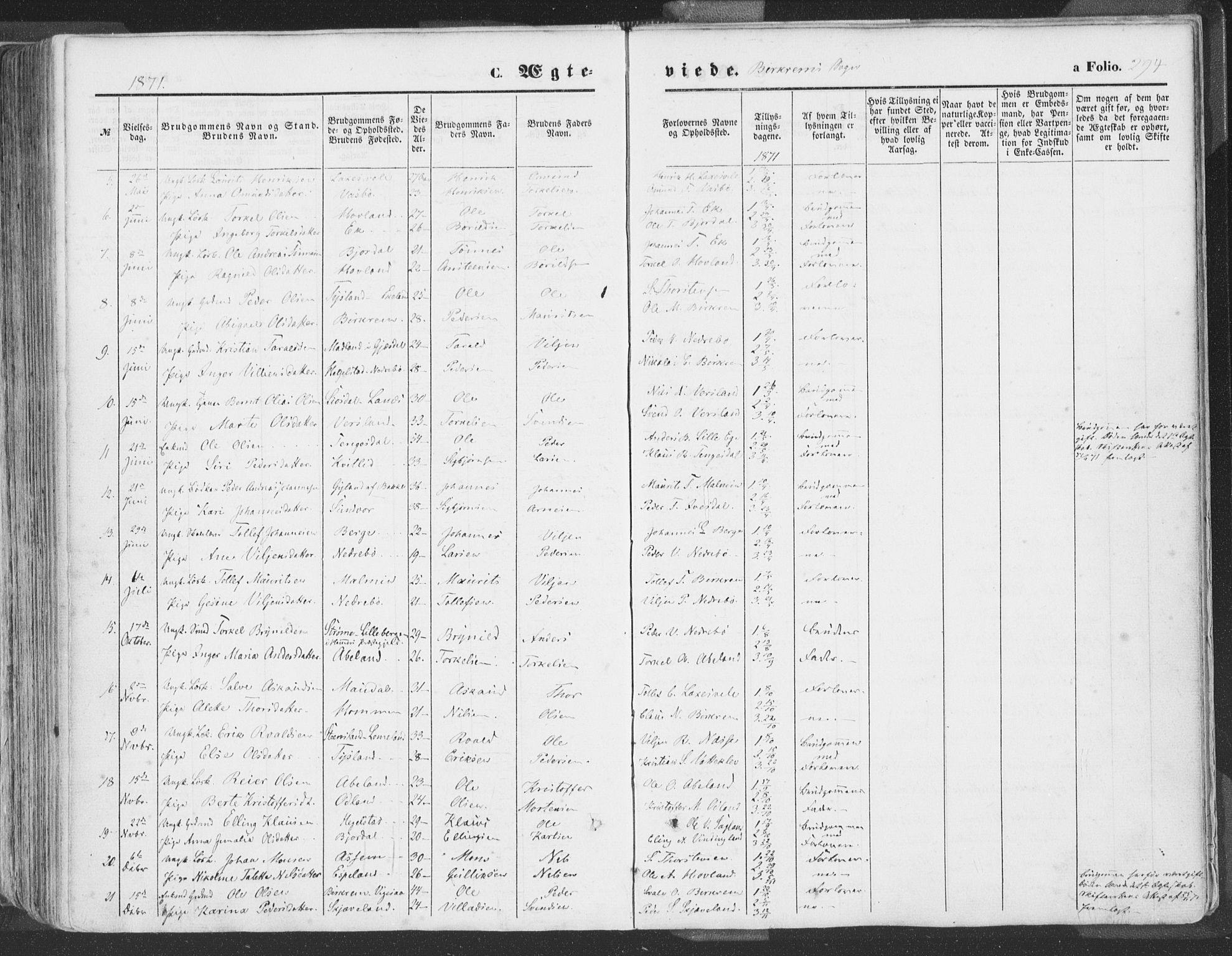 Helleland sokneprestkontor, SAST/A-101810: Ministerialbok nr. A 7.1, 1863-1886, s. 294