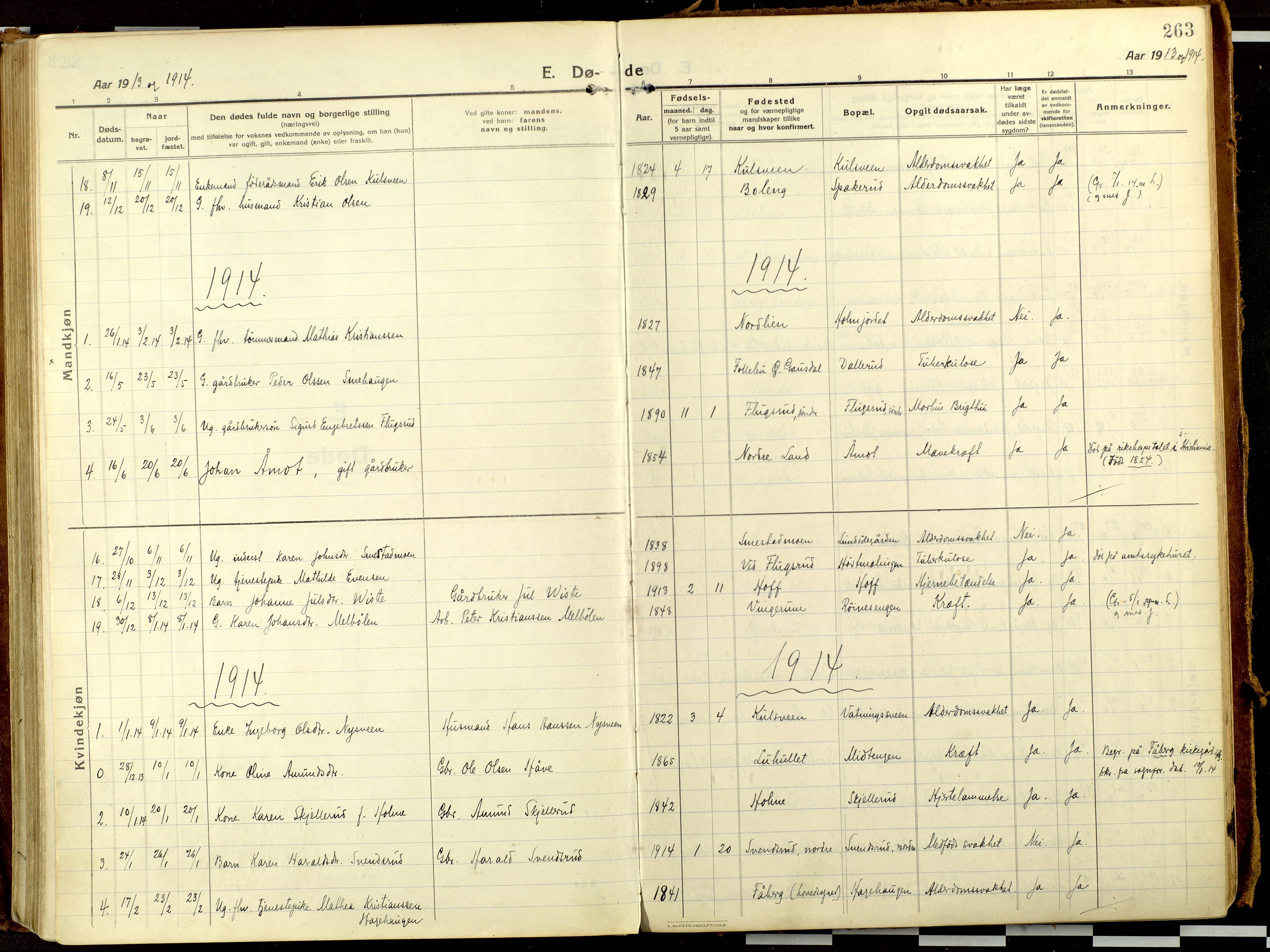 Fåberg prestekontor, AV/SAH-PREST-086/H/Ha/Haa/L0013: Ministerialbok nr. 13, 1913-1928, s. 263