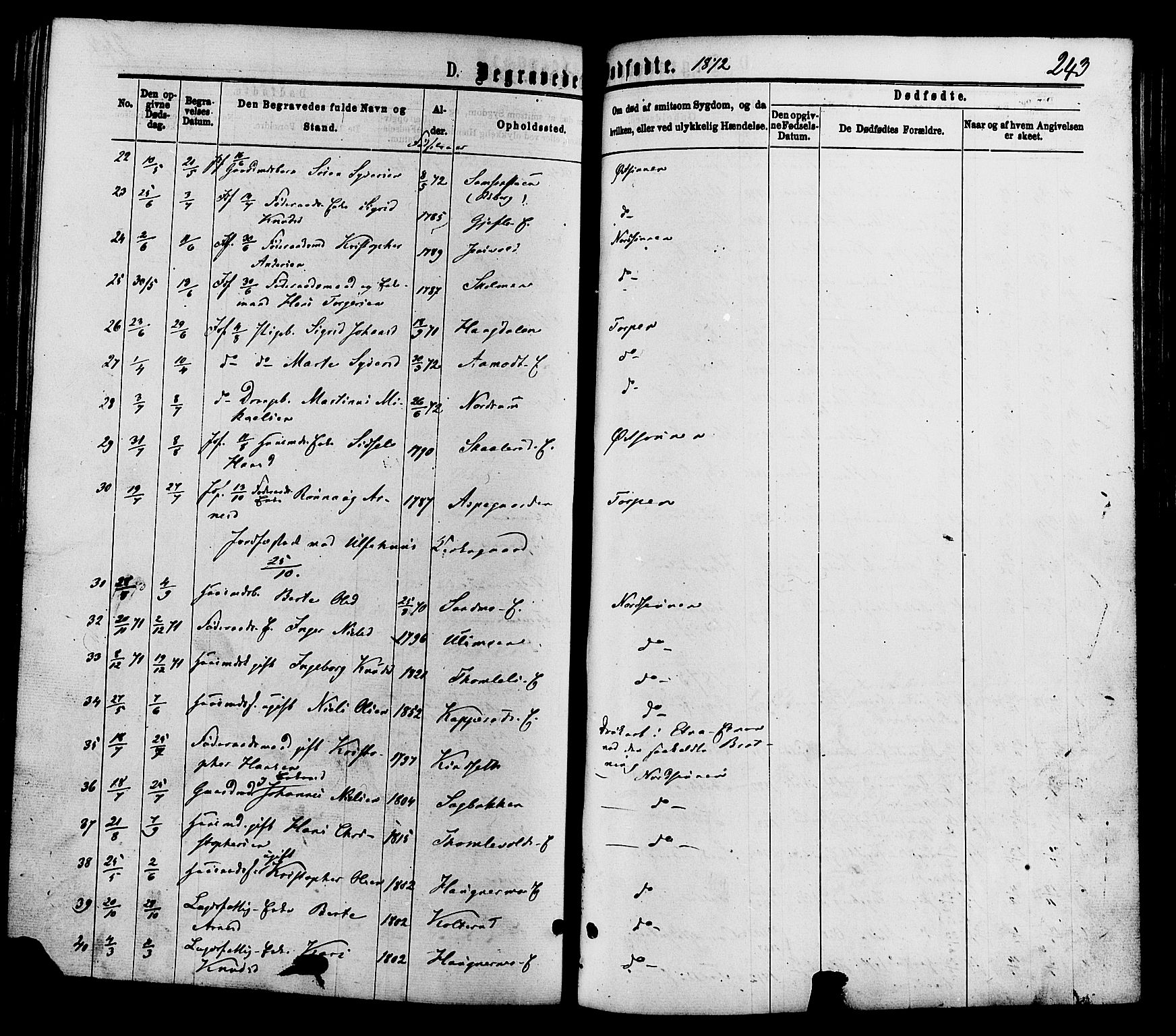Nordre Land prestekontor, AV/SAH-PREST-124/H/Ha/Haa/L0002: Ministerialbok nr. 2, 1872-1881, s. 243