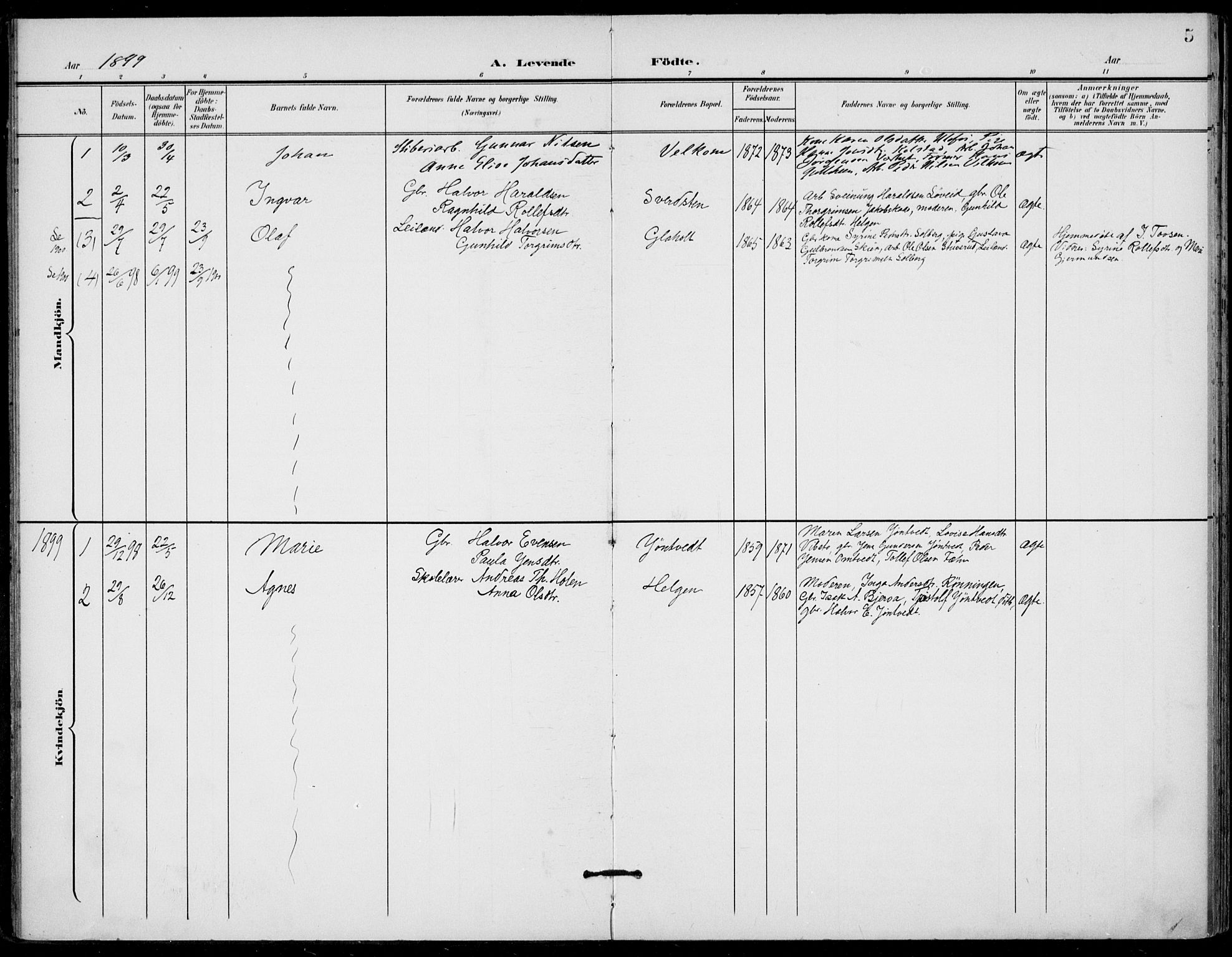Holla kirkebøker, AV/SAKO-A-272/F/Fa/L0011: Ministerialbok nr. 11, 1897-1928, s. 5