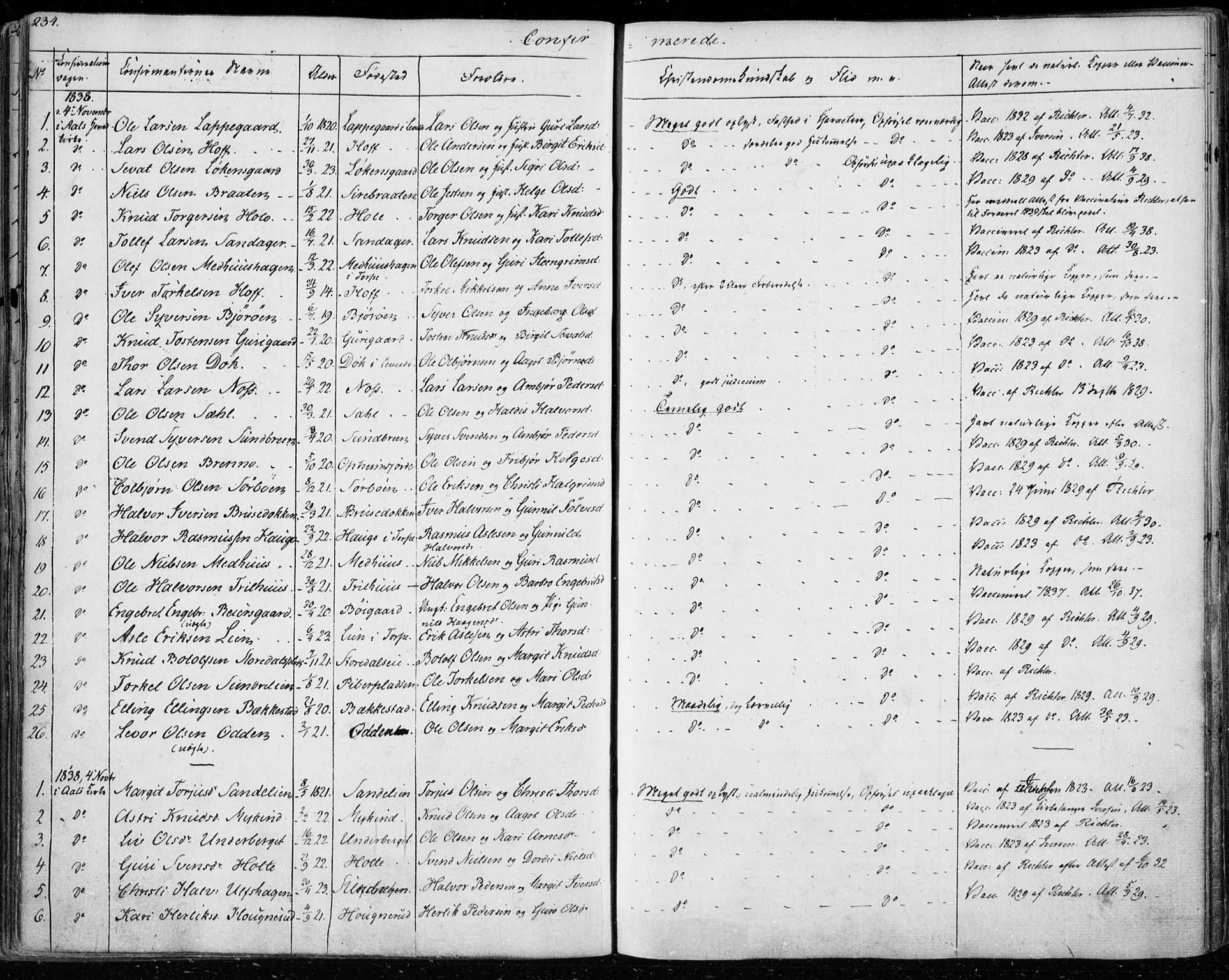 Ål kirkebøker, AV/SAKO-A-249/F/Fa/L0005: Ministerialbok nr. I 5, 1825-1848, s. 234