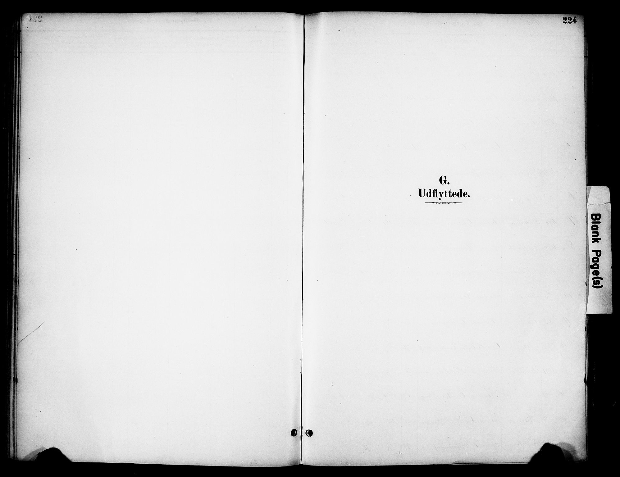 Ringsaker prestekontor, SAH/PREST-014/K/Ka/L0016: Ministerialbok nr. 16, 1891-1904, s. 224
