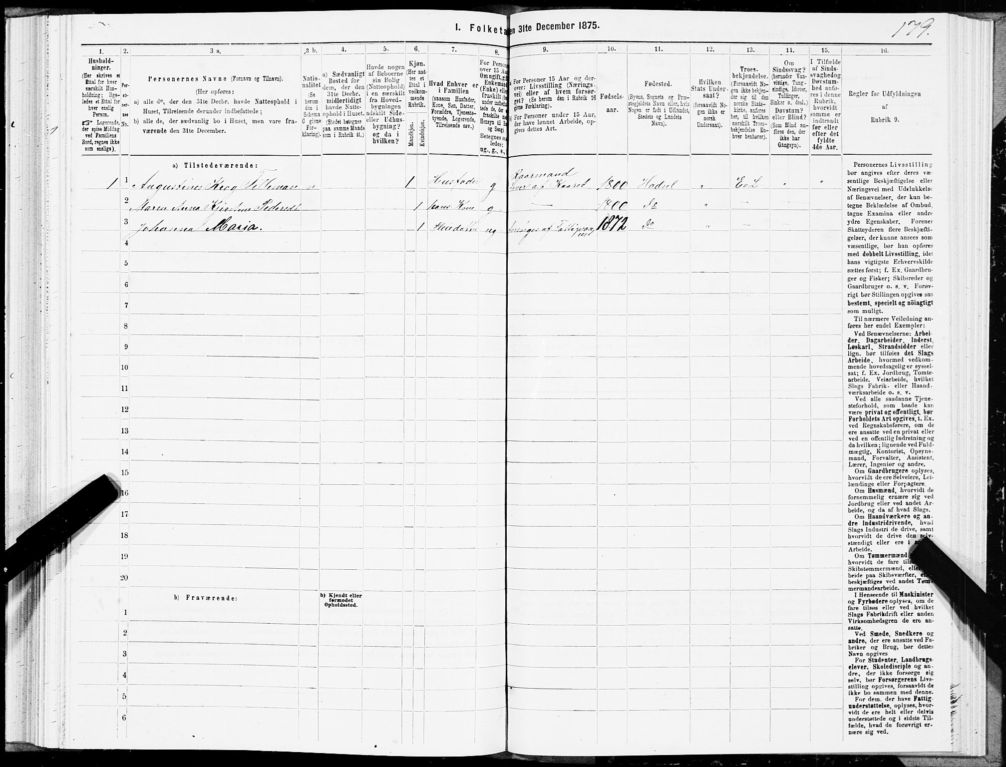 SAT, Folketelling 1875 for 1866P Hadsel prestegjeld, 1875, s. 2179