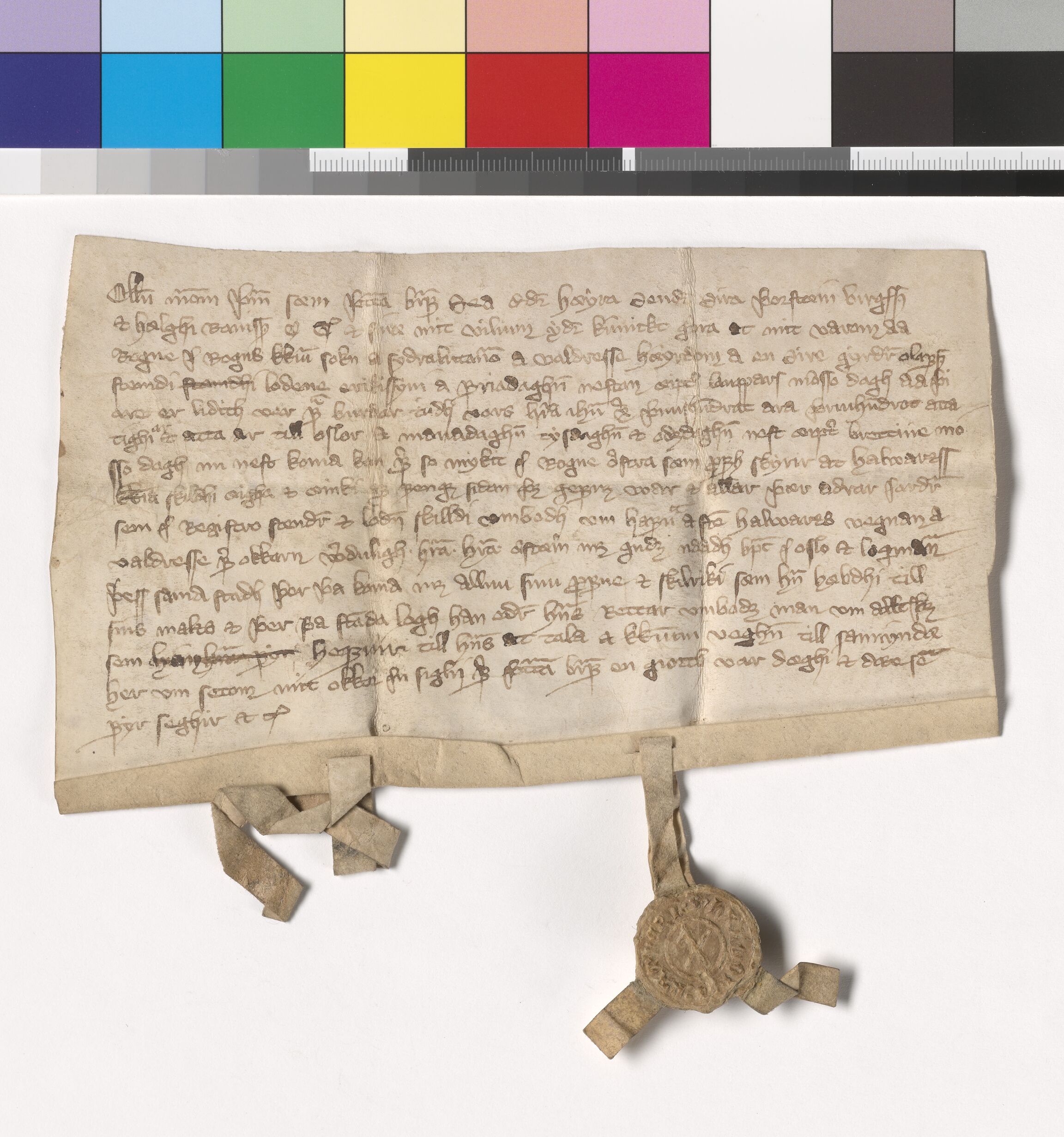 Riksarkivets diplomsamling, AV/RA-EA-5965/F05/L0187: NRA AM fasc. 75 nr. 20 - fasc. 76 nr. 12, 1388-1389, s. 2