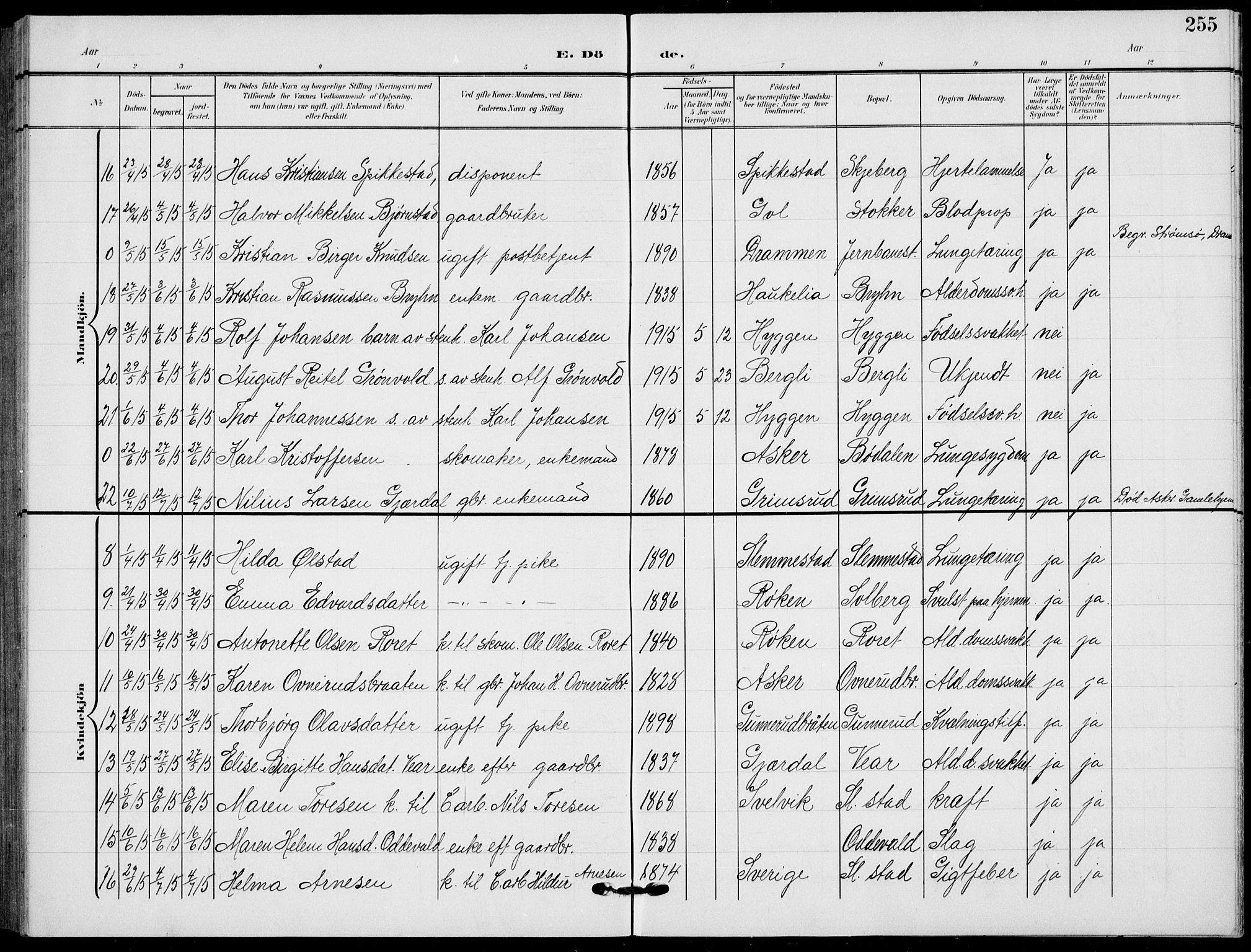 Røyken kirkebøker, AV/SAKO-A-241/G/Ga/L0005: Klokkerbok nr. 5, 1903-1918, s. 255