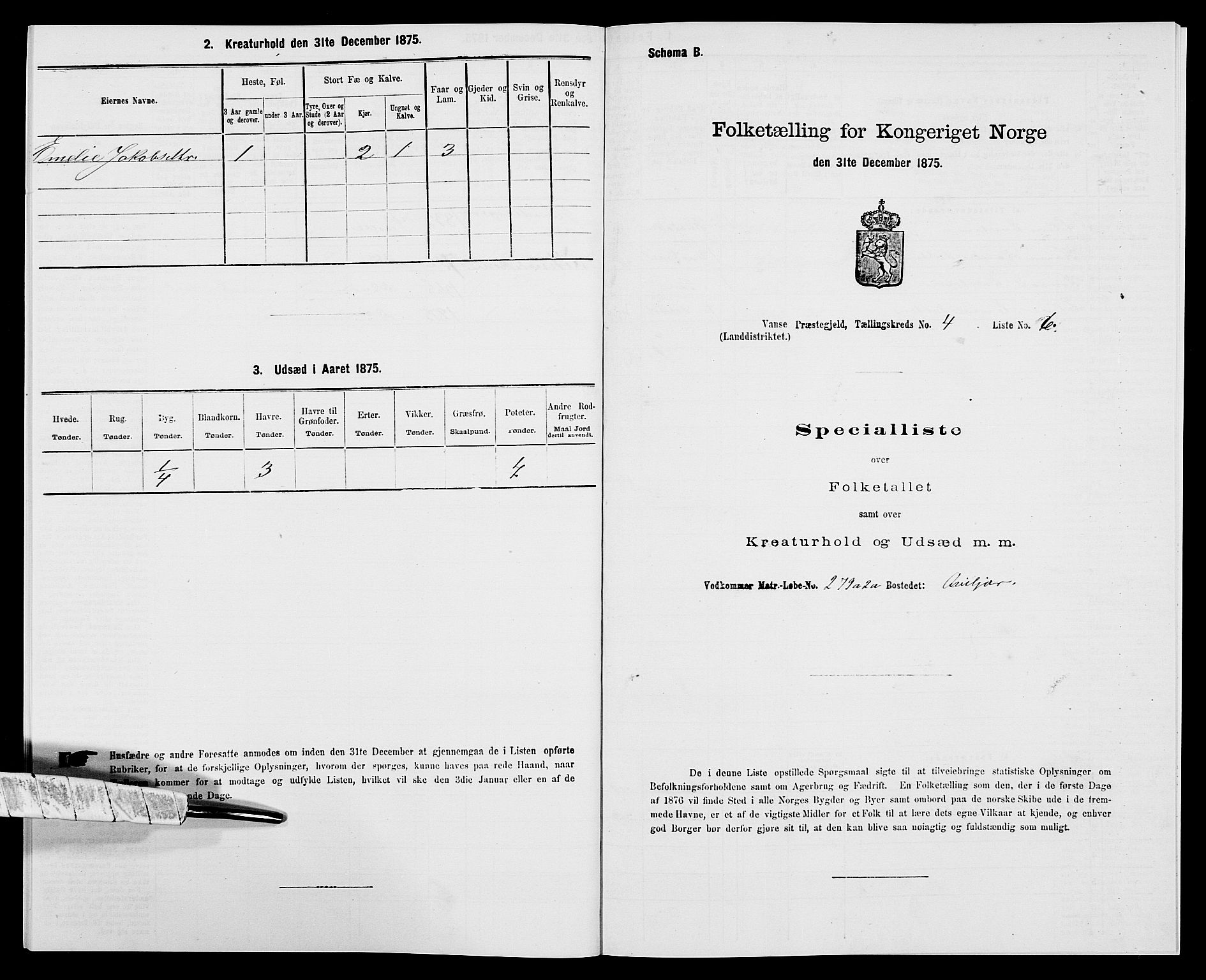 SAK, Folketelling 1875 for 1041L Vanse prestegjeld, Vanse sokn og Farsund landsokn, 1875, s. 702