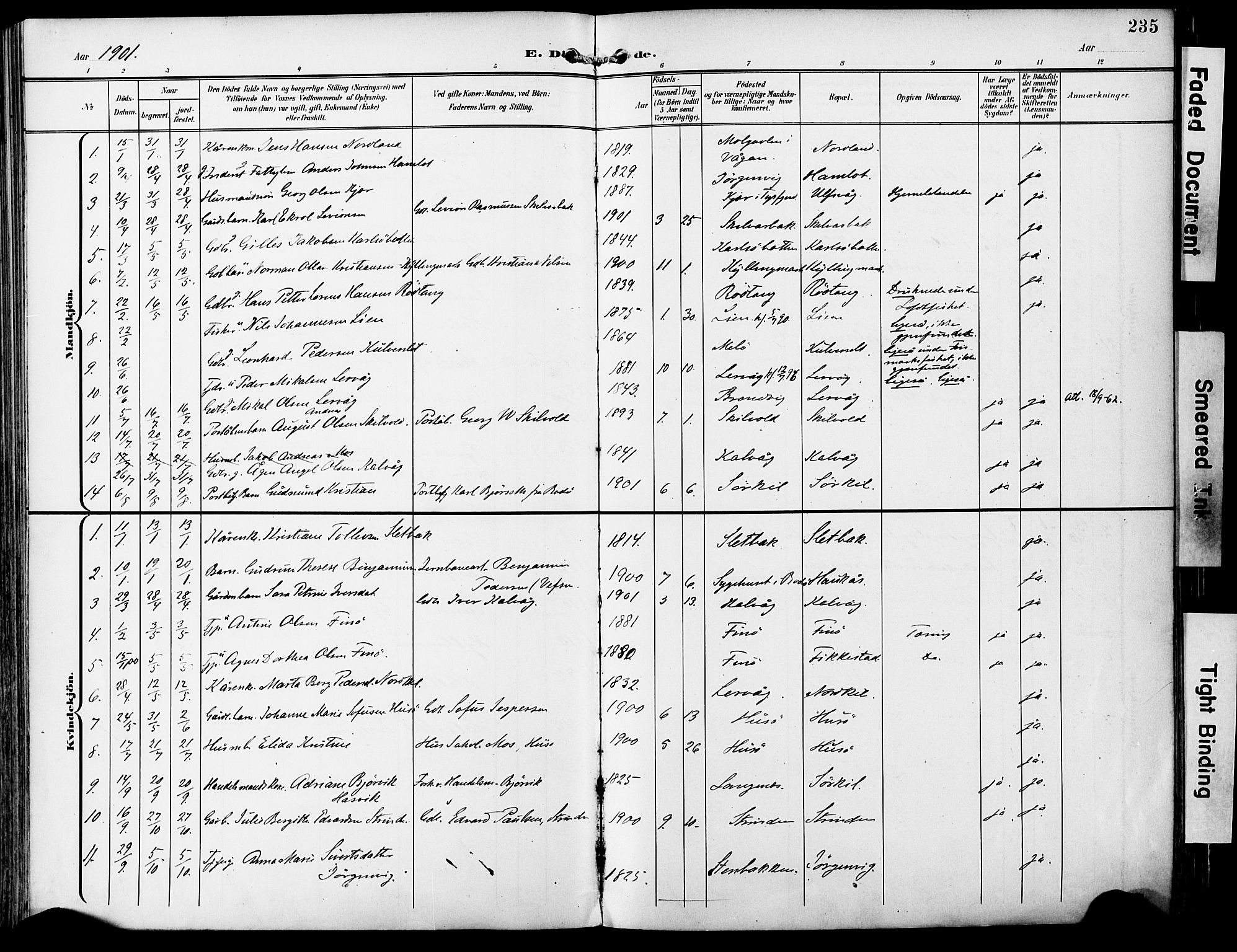 Ministerialprotokoller, klokkerbøker og fødselsregistre - Nordland, SAT/A-1459/859/L0848: Ministerialbok nr. 859A08, 1900-1912, s. 235