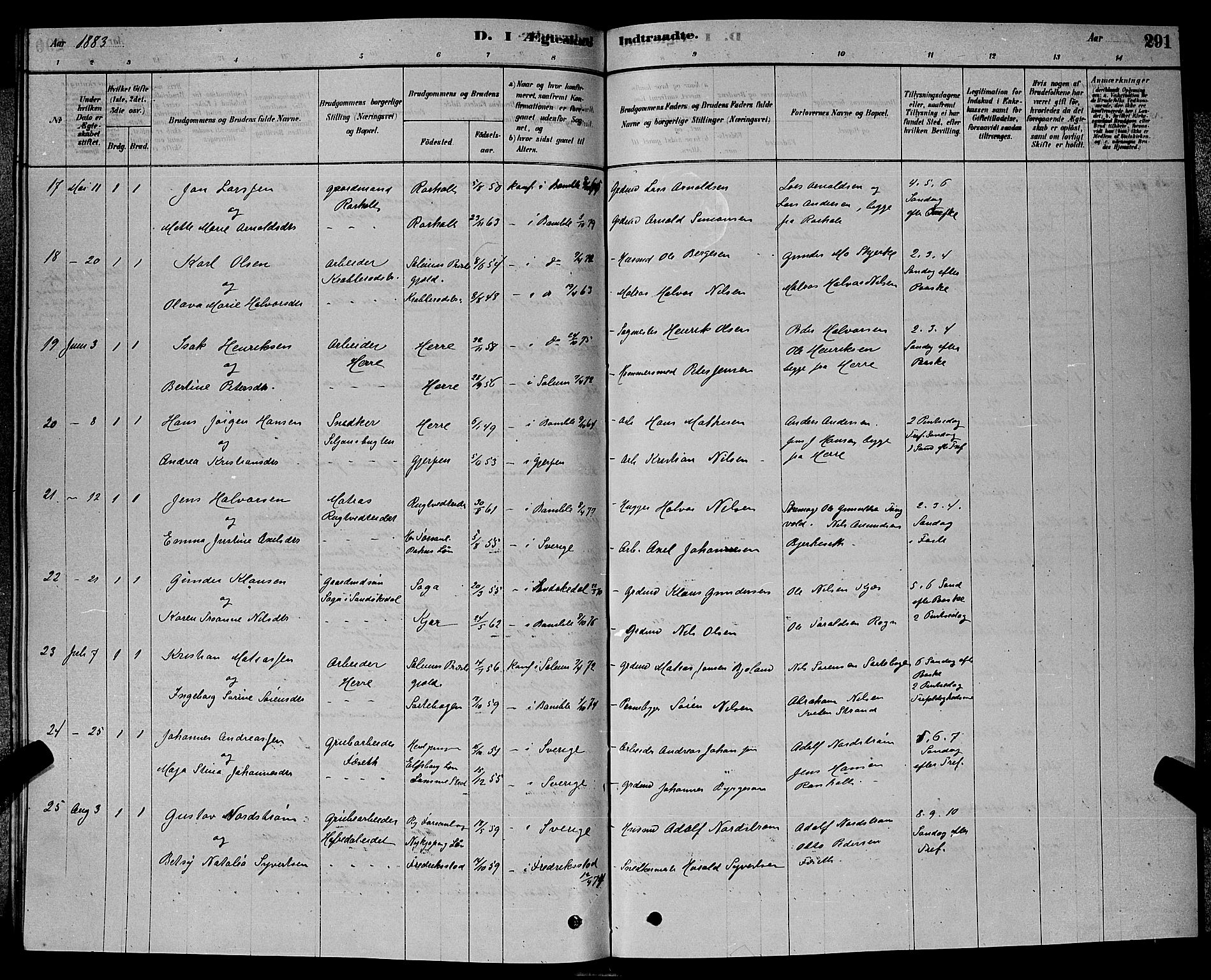 Bamble kirkebøker, AV/SAKO-A-253/G/Ga/L0008: Klokkerbok nr. I 8, 1878-1888, s. 291