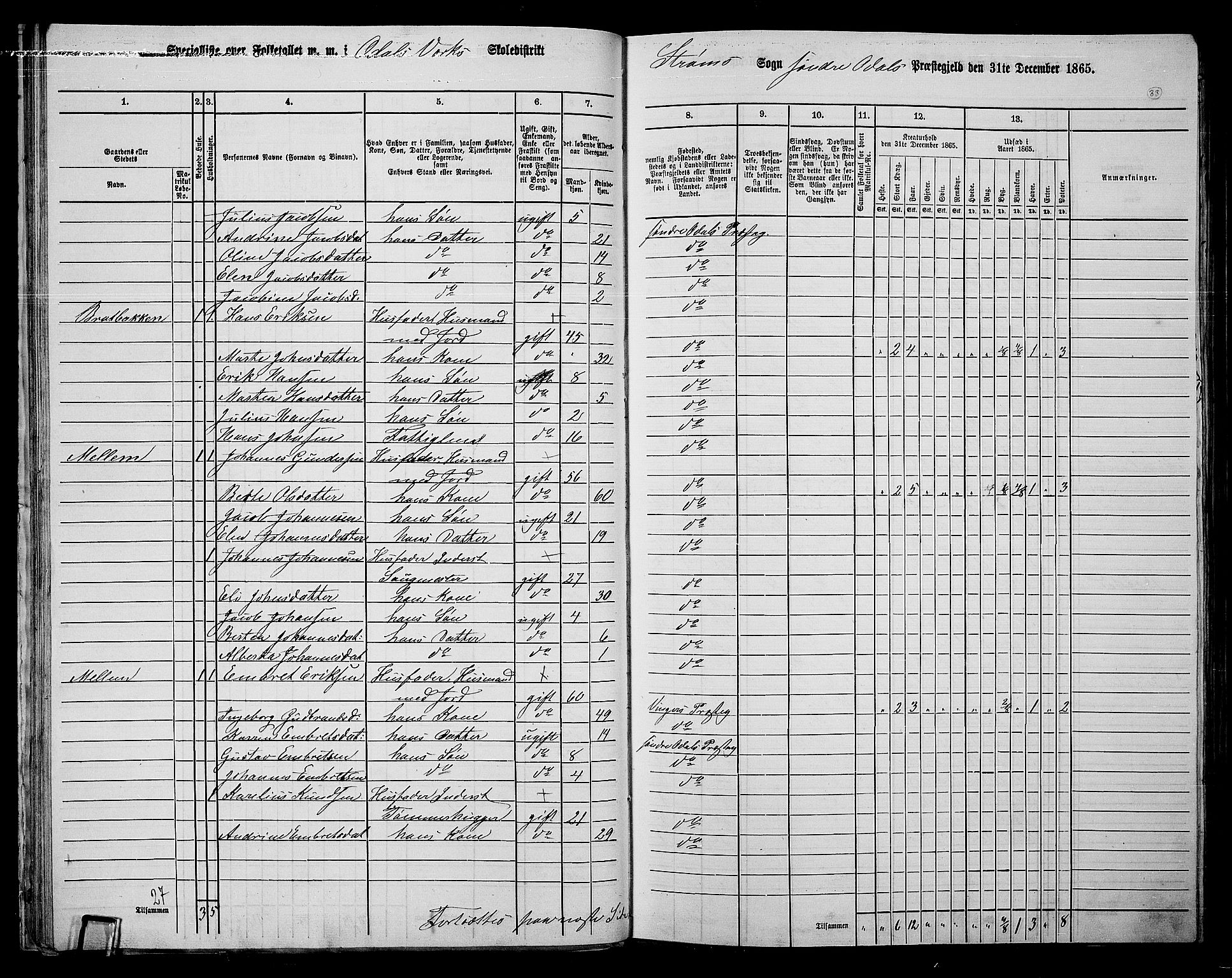 RA, Folketelling 1865 for 0419P Sør-Odal prestegjeld, 1865, s. 31