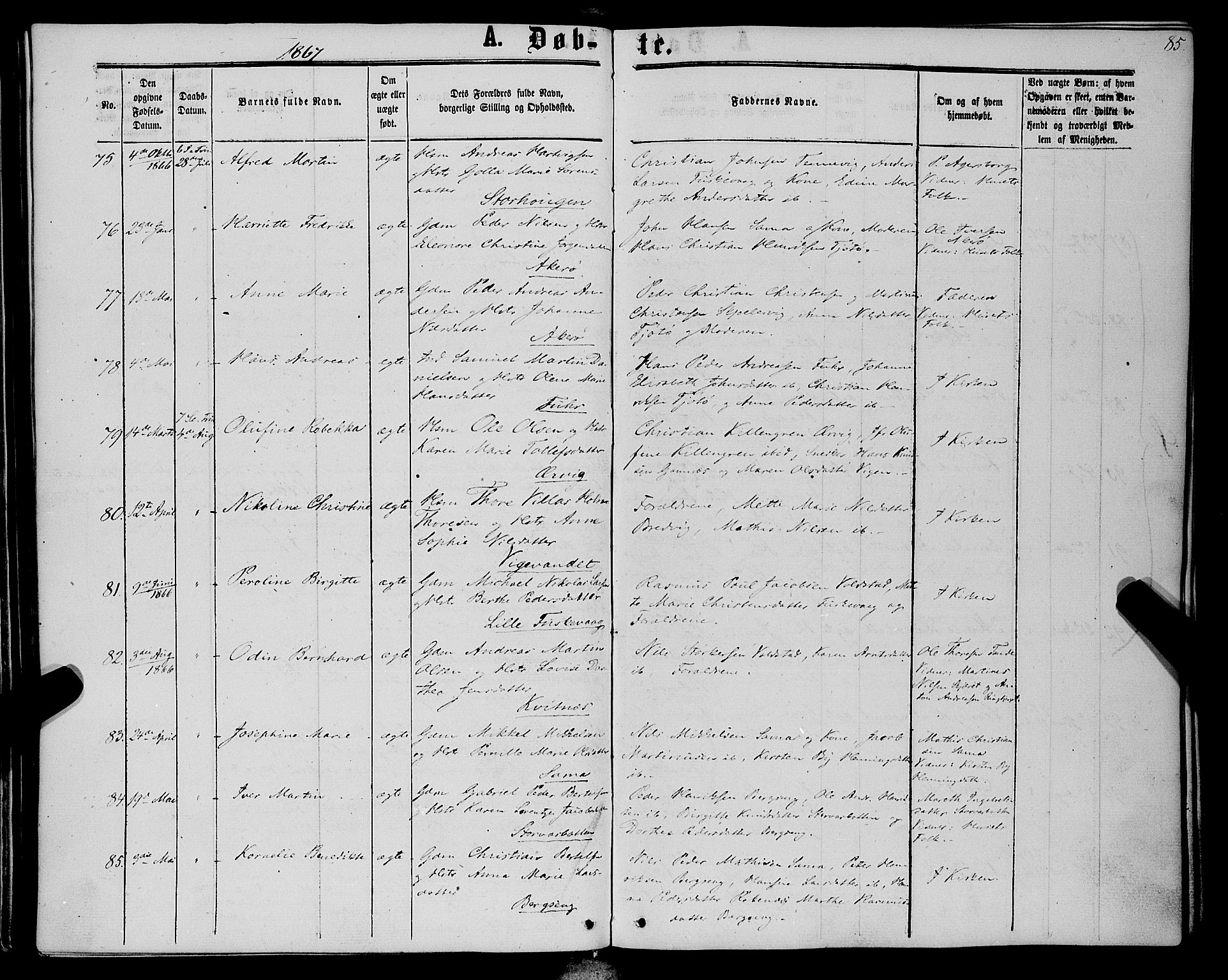 Trondenes sokneprestkontor, AV/SATØ-S-1319/H/Ha/L0012kirke: Ministerialbok nr. 12, 1863-1870, s. 85