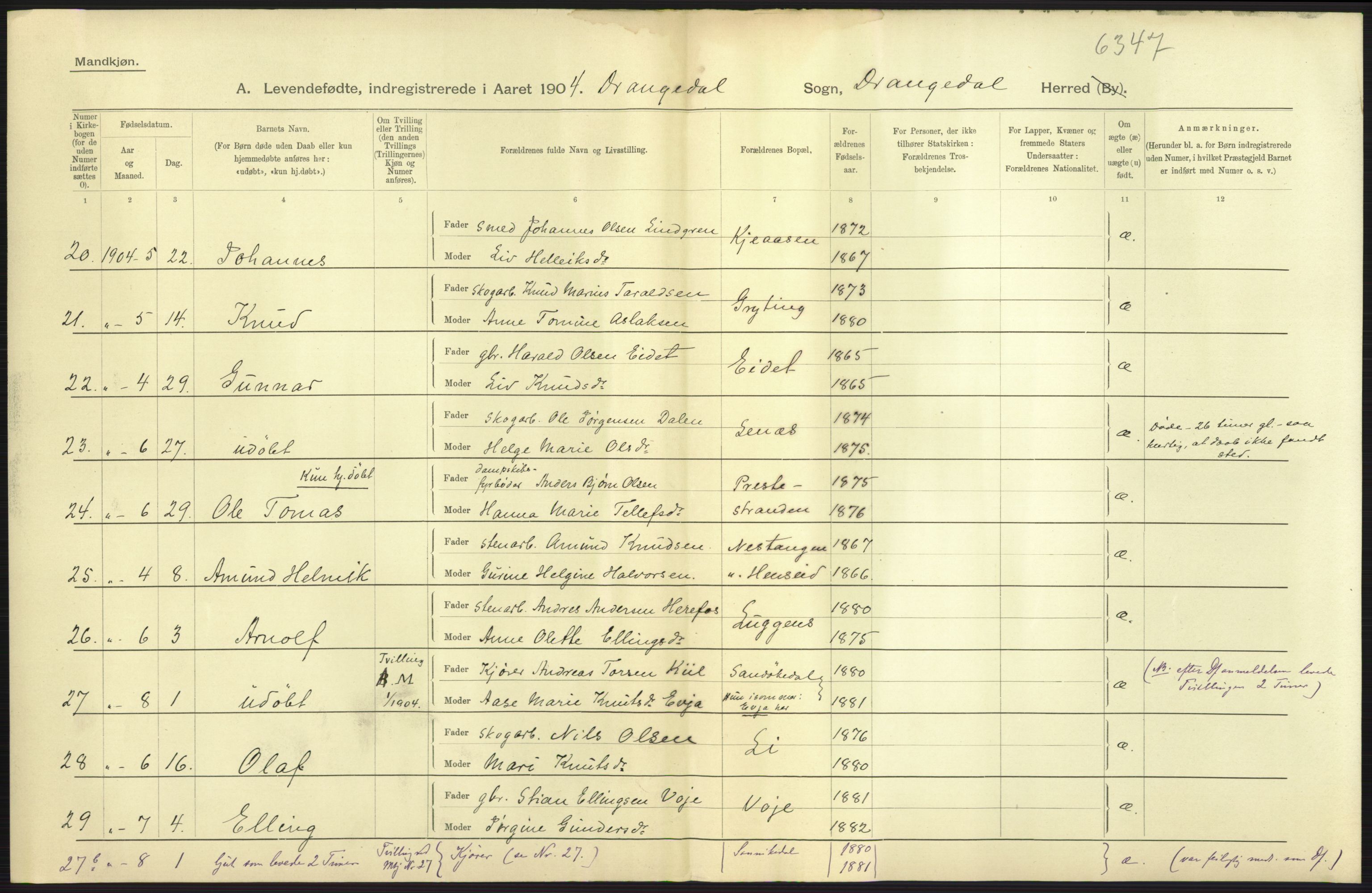 Statistisk sentralbyrå, Sosiodemografiske emner, Befolkning, AV/RA-S-2228/D/Df/Dfa/Dfab/L0009: Bratsberg amt: Fødte, gifte, døde, 1904, s. 17