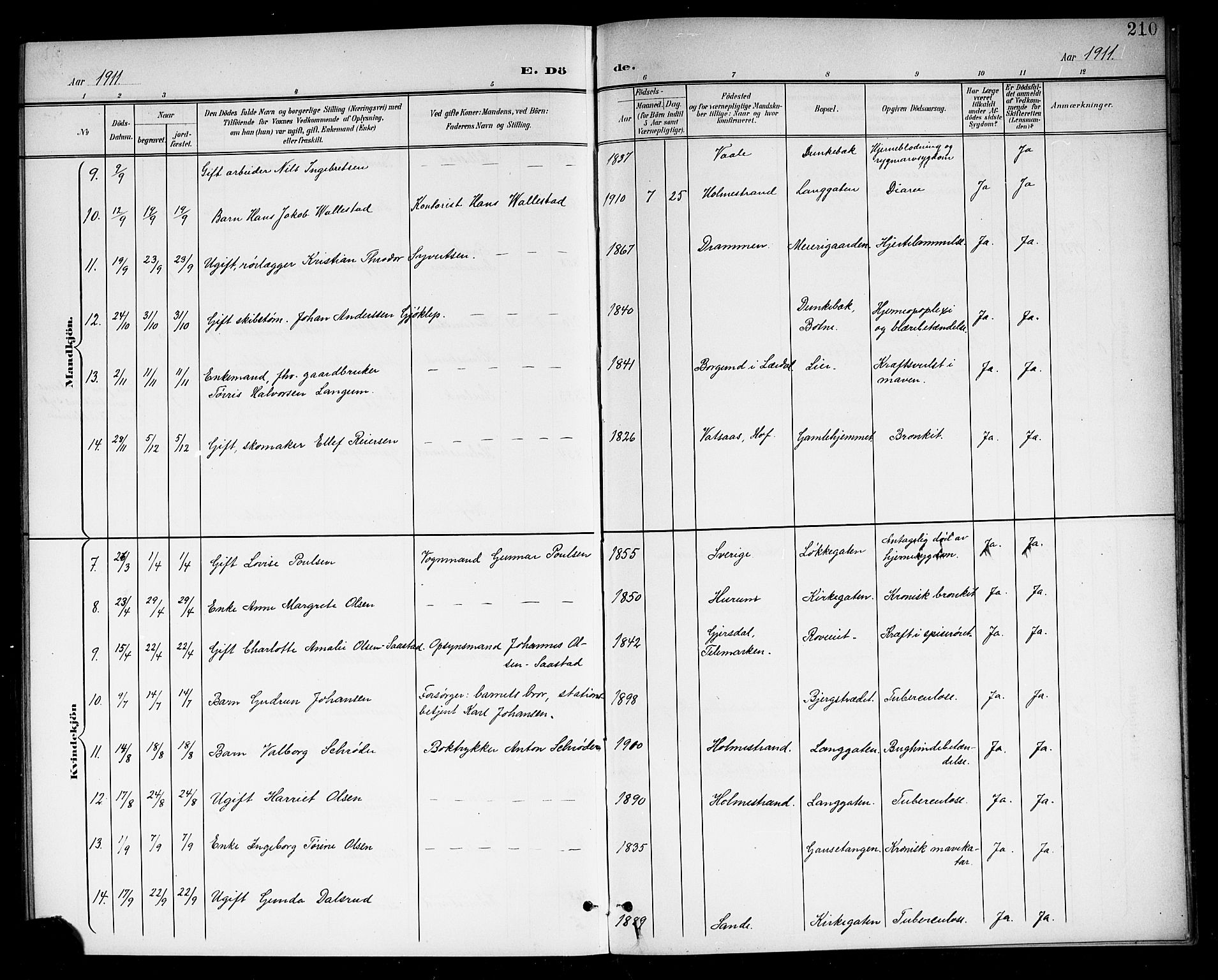 Holmestrand kirkebøker, SAKO/A-346/G/Ga/L0006: Klokkerbok nr. 6, 1901-1923, s. 210