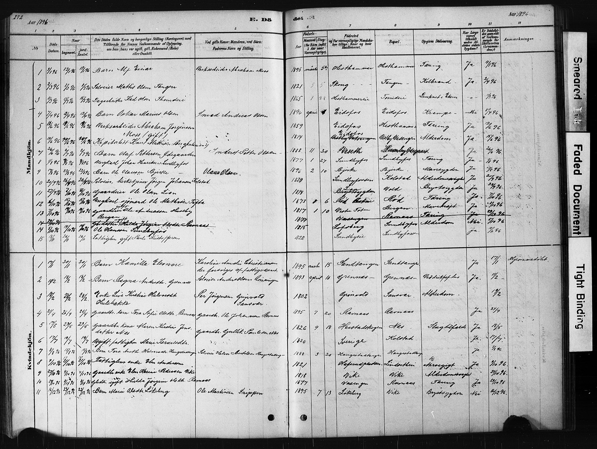 Hof kirkebøker, AV/SAKO-A-64/G/Ga/L0004: Klokkerbok nr. I 4, 1878-1930, s. 272
