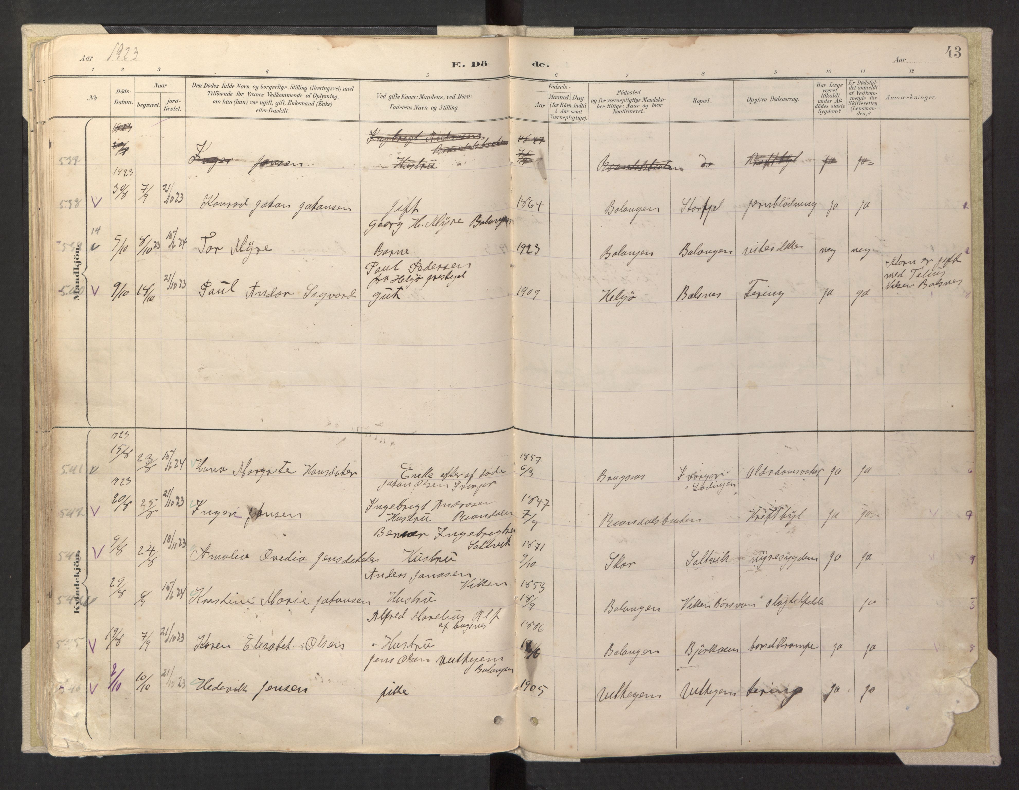 Ministerialprotokoller, klokkerbøker og fødselsregistre - Nordland, AV/SAT-A-1459/869/L0980: Klokkerbok nr. 869C06, 1889-1925, s. 43