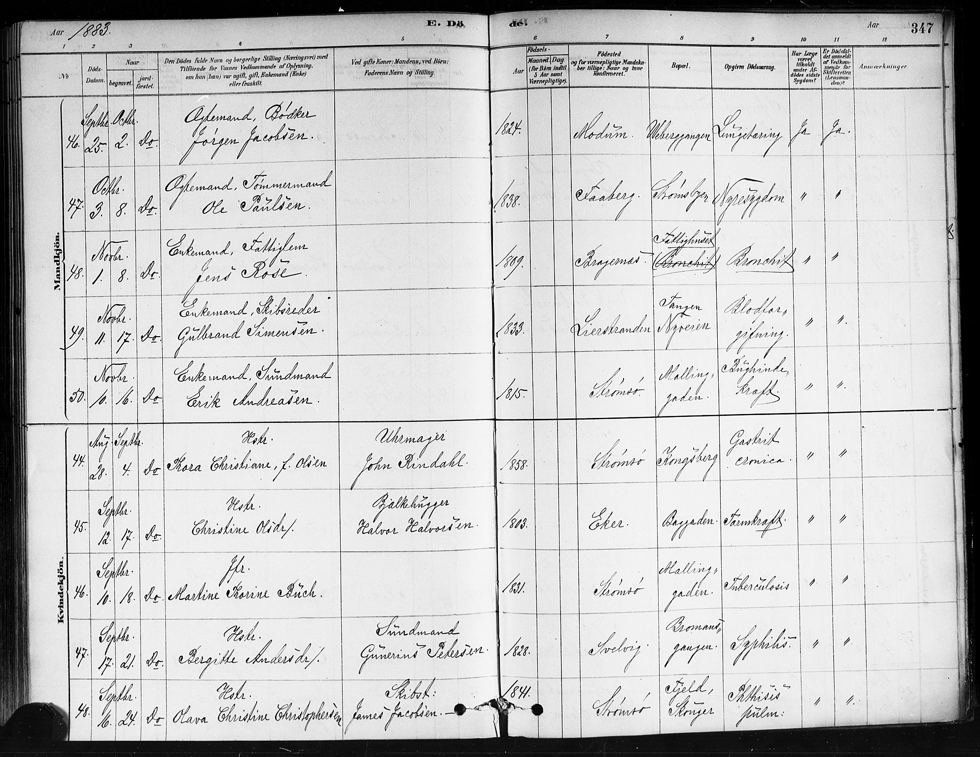 Strømsø kirkebøker, AV/SAKO-A-246/F/Fa/L0021: Ministerialbok nr. I 21, 1878-1885, s. 347