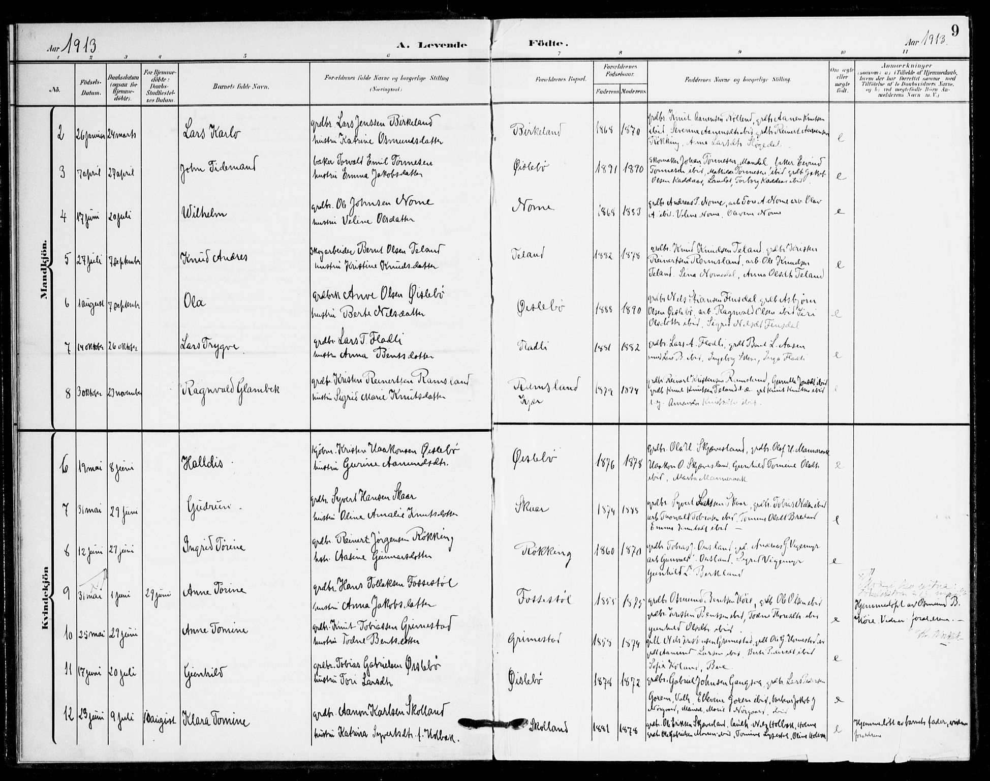 Holum sokneprestkontor, AV/SAK-1111-0022/F/Fa/Fac/L0005: Ministerialbok nr. A 5, 1908-1930, s. 9