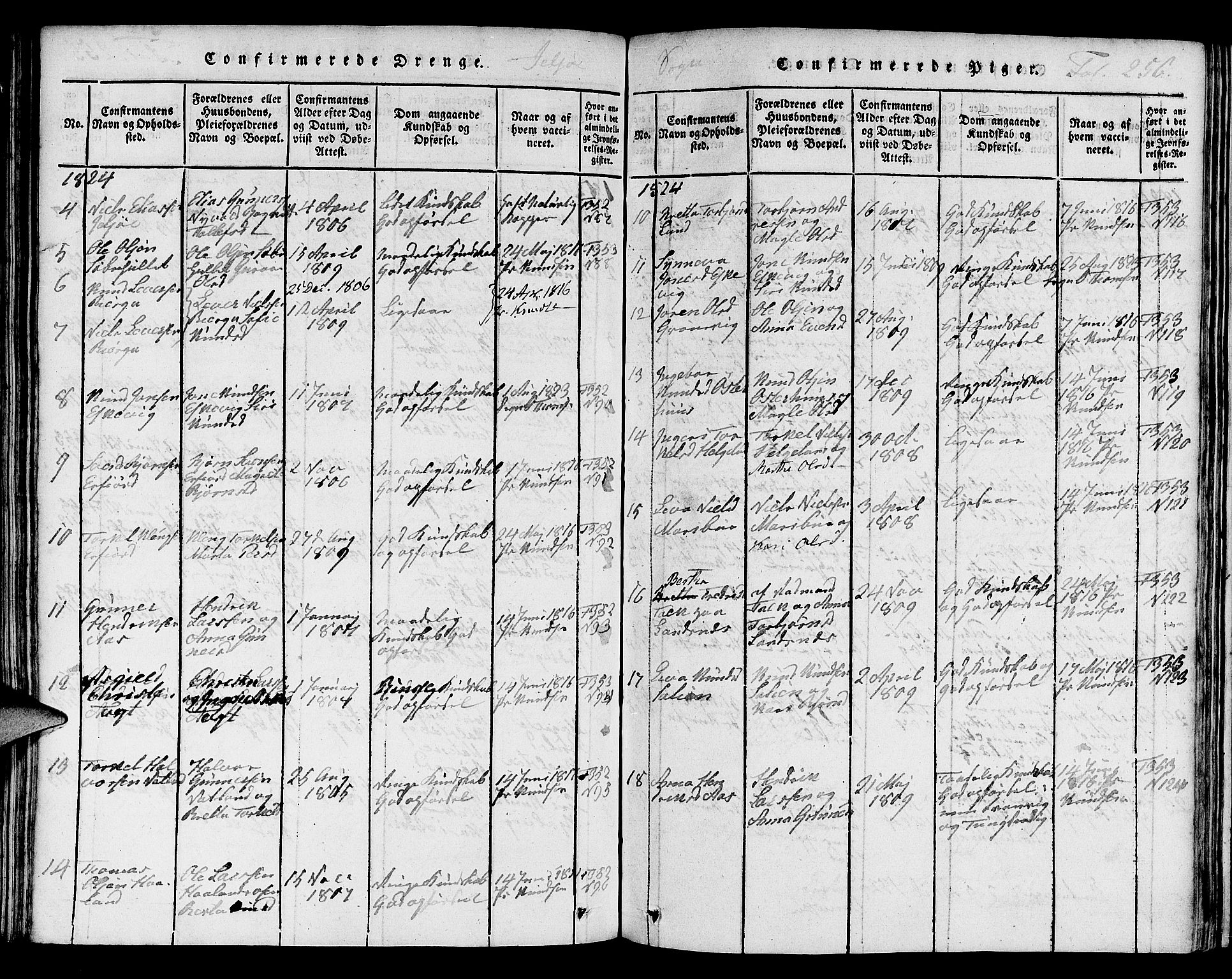 Jelsa sokneprestkontor, AV/SAST-A-101842/01/V: Klokkerbok nr. B 1 /1, 1816-1828, s. 256