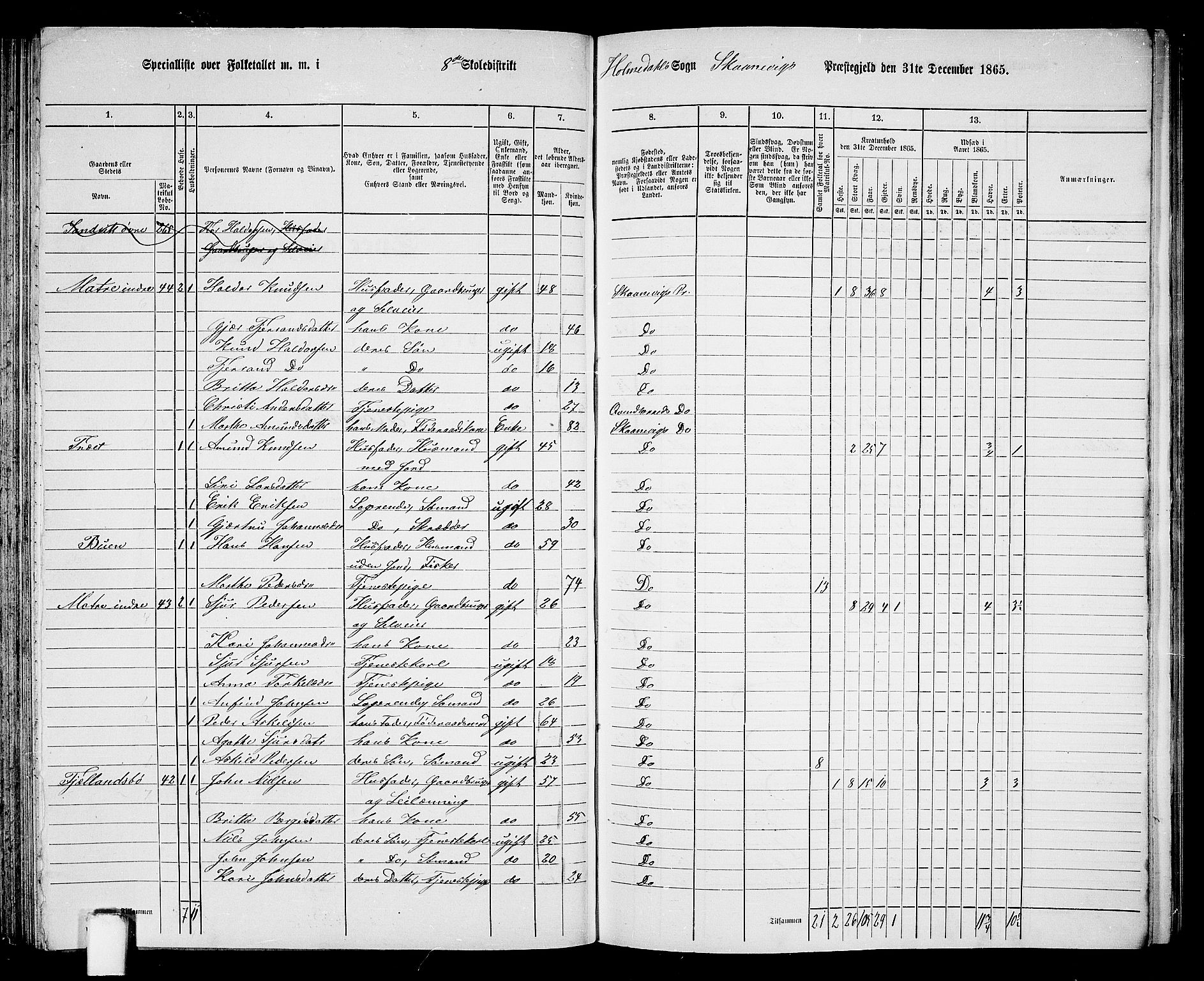 RA, Folketelling 1865 for 1212P Skånevik prestegjeld, 1865, s. 128