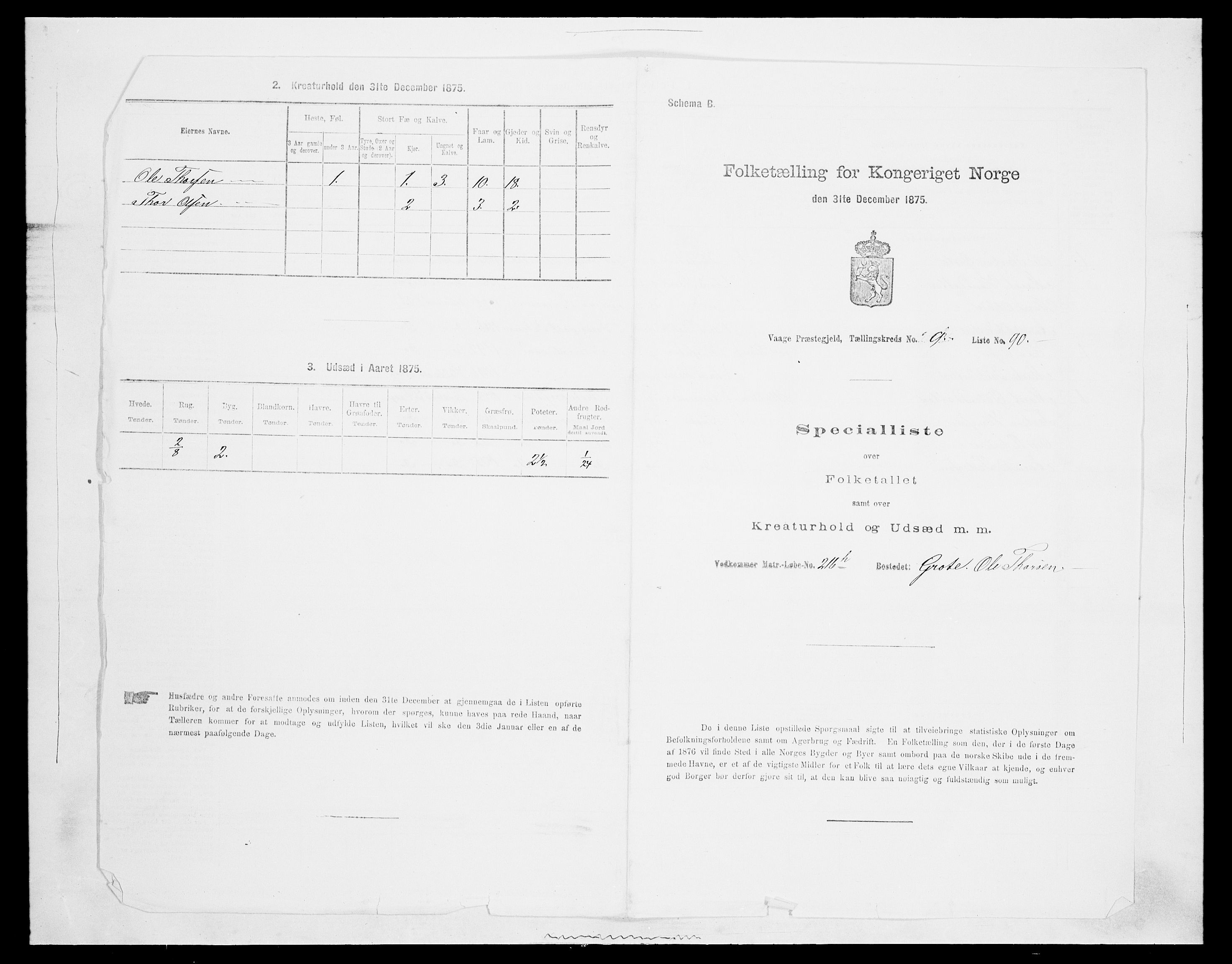 SAH, Folketelling 1875 for 0515P Vågå prestegjeld, 1875, s. 1703
