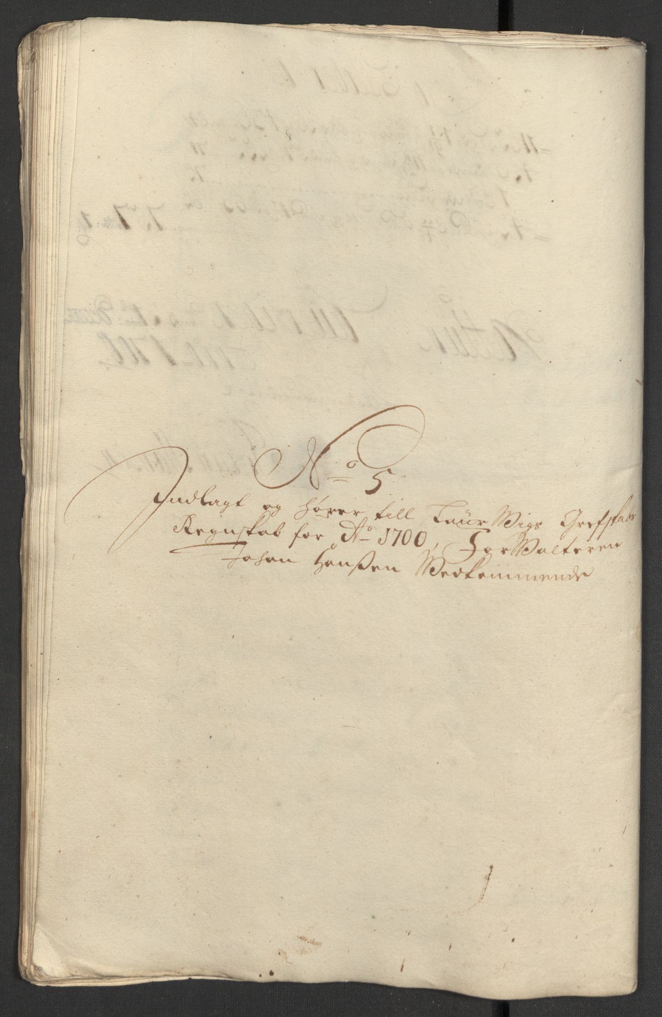 Rentekammeret inntil 1814, Reviderte regnskaper, Fogderegnskap, RA/EA-4092/R33/L1976: Fogderegnskap Larvik grevskap, 1698-1701, s. 274