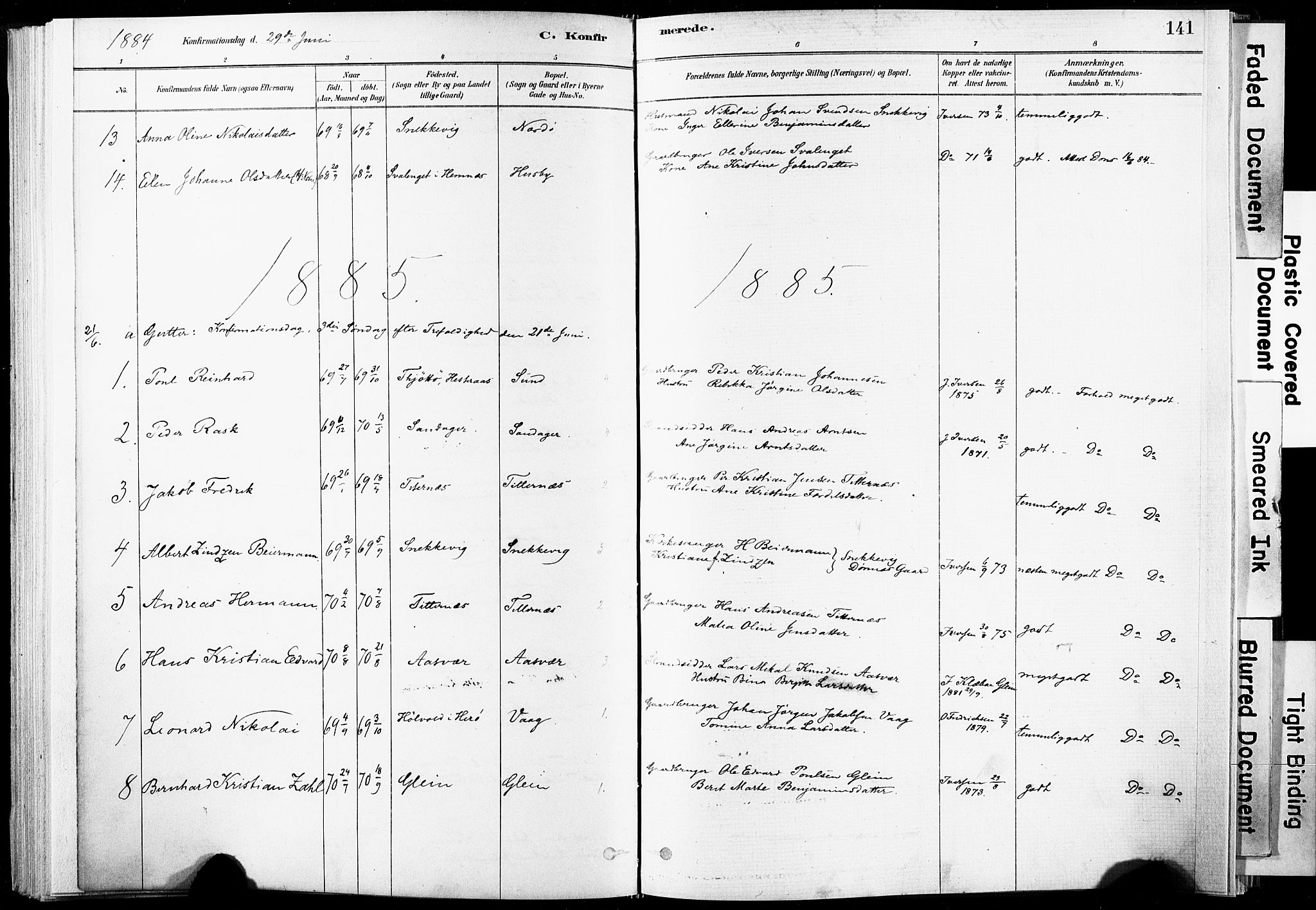 Ministerialprotokoller, klokkerbøker og fødselsregistre - Nordland, AV/SAT-A-1459/835/L0525: Ministerialbok nr. 835A03I, 1881-1910, s. 141