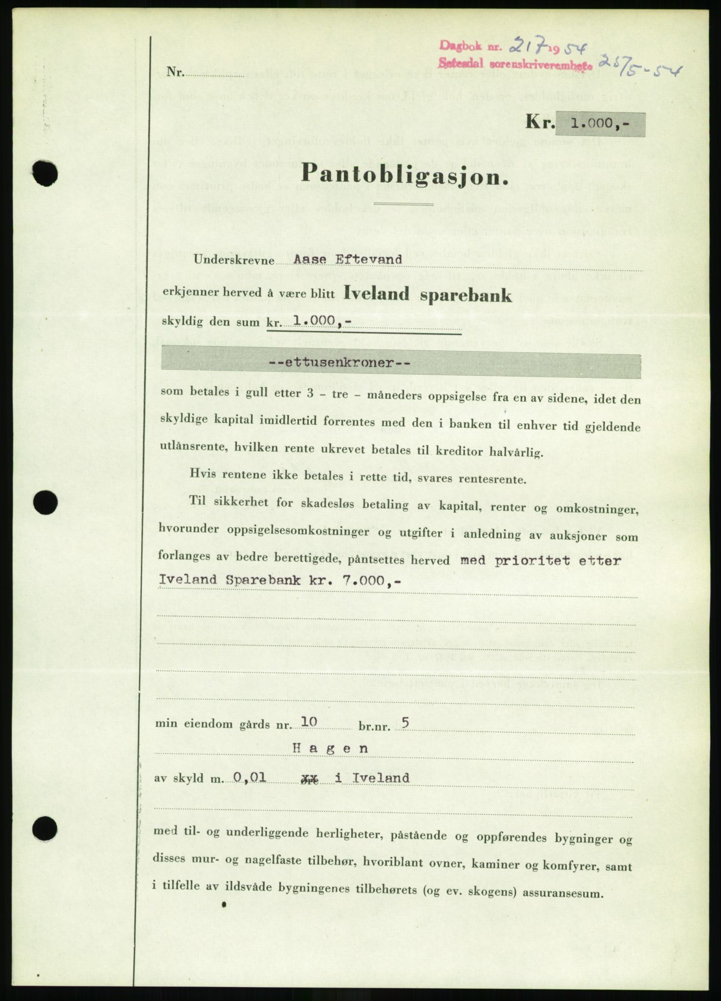 Setesdal sorenskriveri, SAK/1221-0011/G/Gb/L0052: Pantebok nr. B 40, 1954-1955, Dagboknr: 217/1954