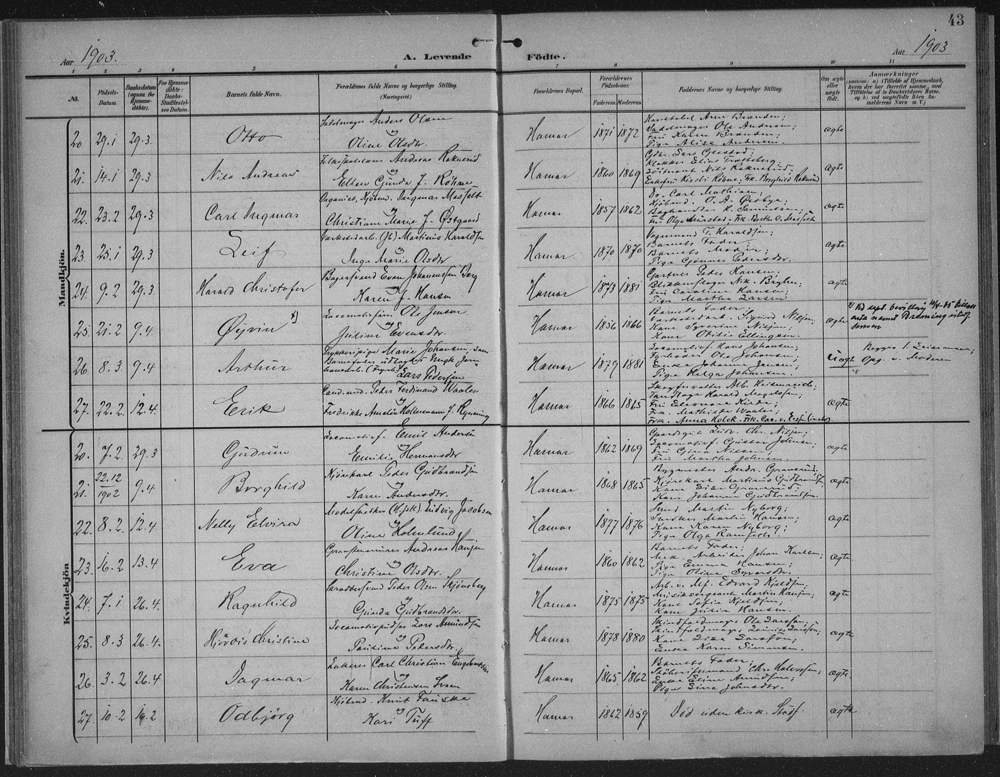 Hamar prestekontor, AV/SAH-DOMPH-002/H/Ha/Haa/L0001: Ministerialbok nr. 1, 1900-1914, s. 43