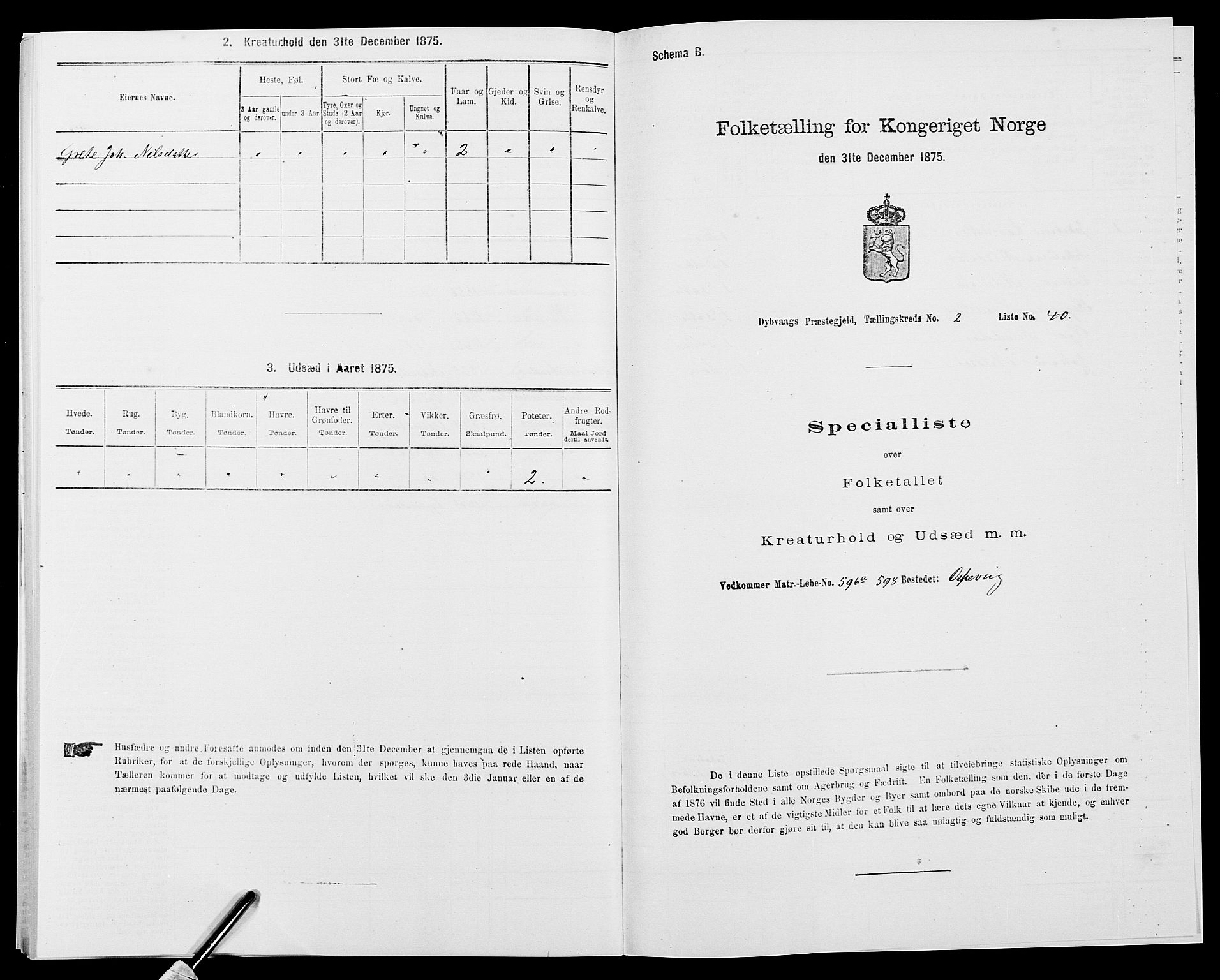 SAK, Folketelling 1875 for 0915P Dypvåg prestegjeld, 1875, s. 253