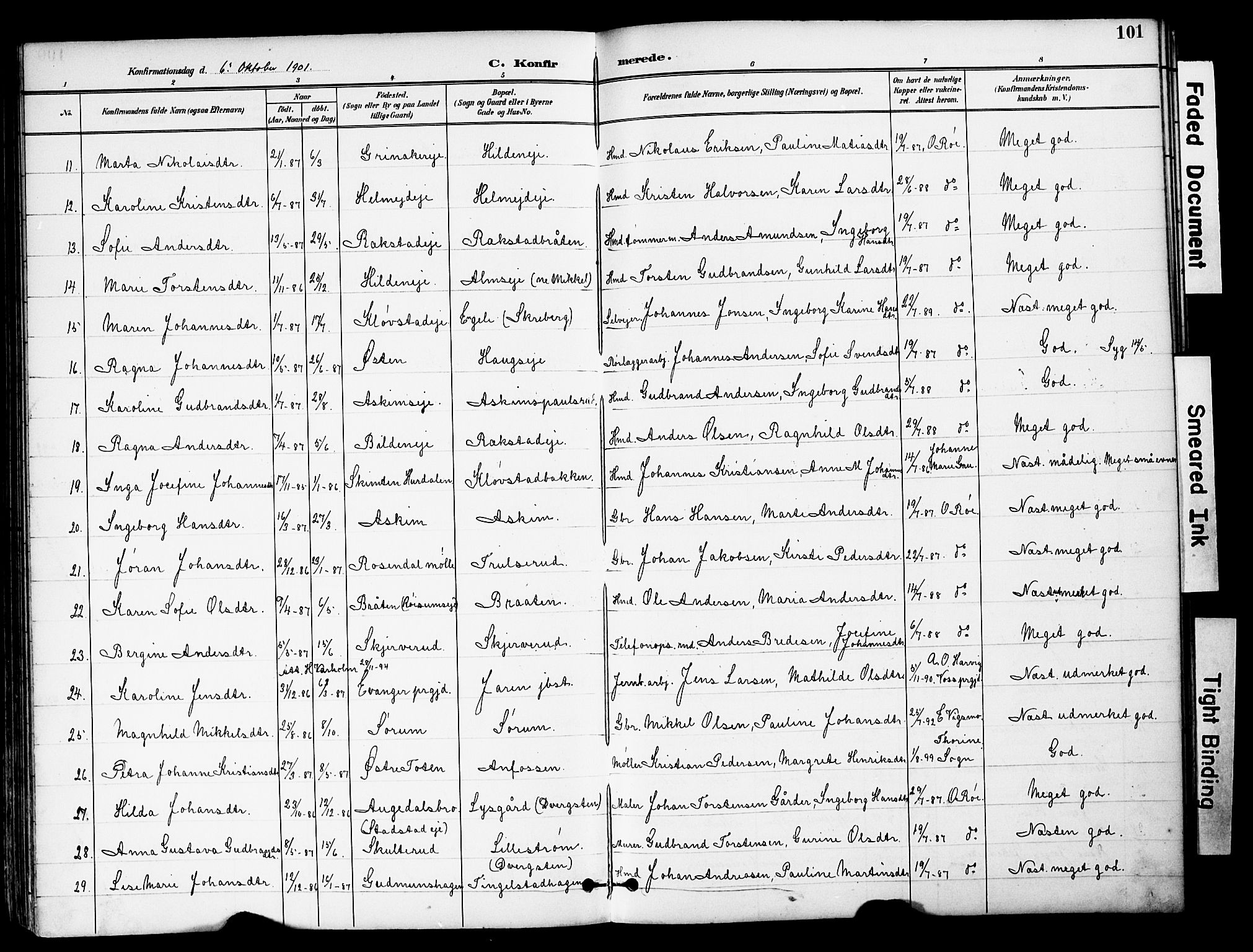 Brandbu prestekontor, AV/SAH-PREST-114/H/Ha/Hab/L0006: Klokkerbok nr. 6, 1893-1902, s. 101